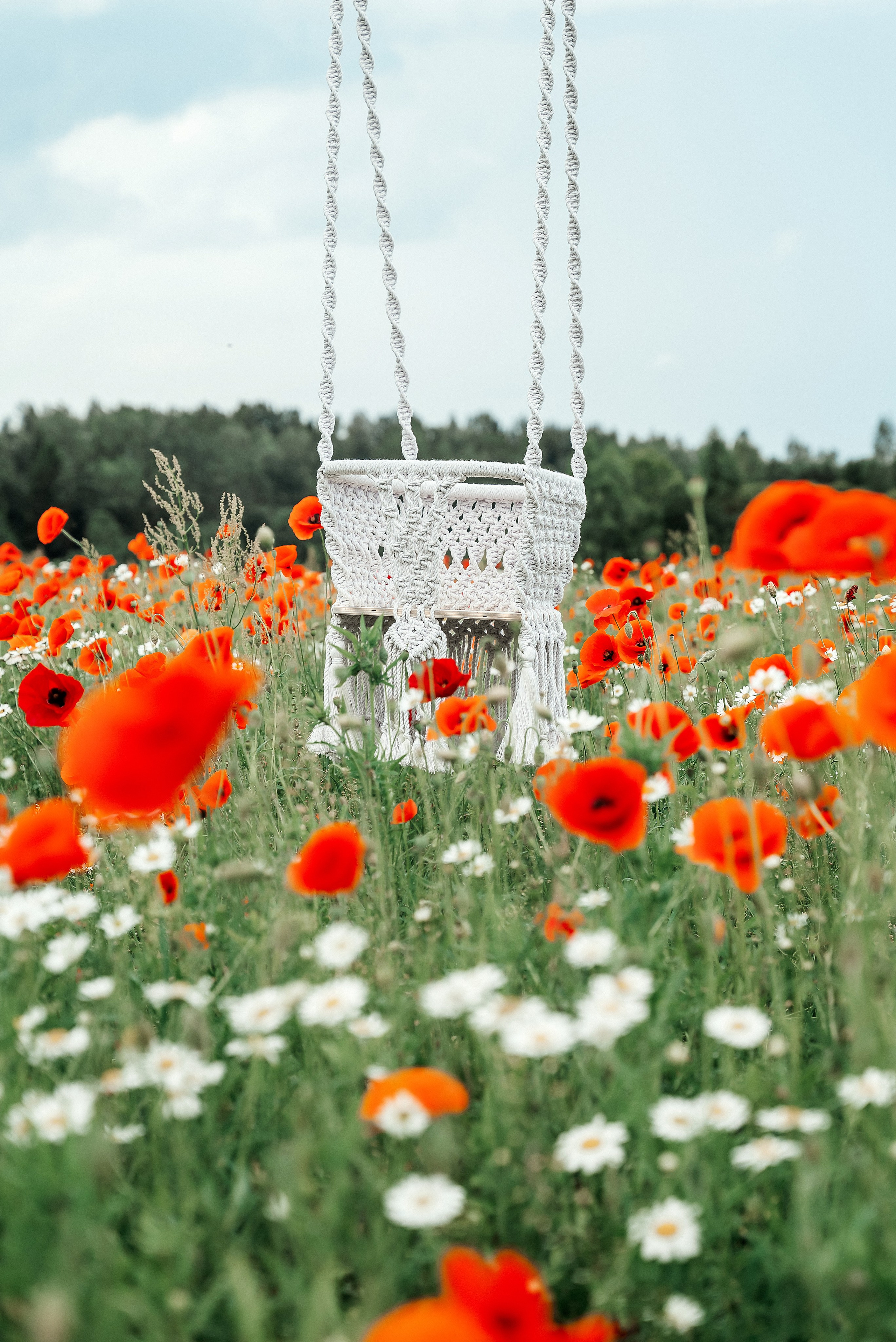 Качели. Ваш фотограф в Латгалии — Александра Юхневича!