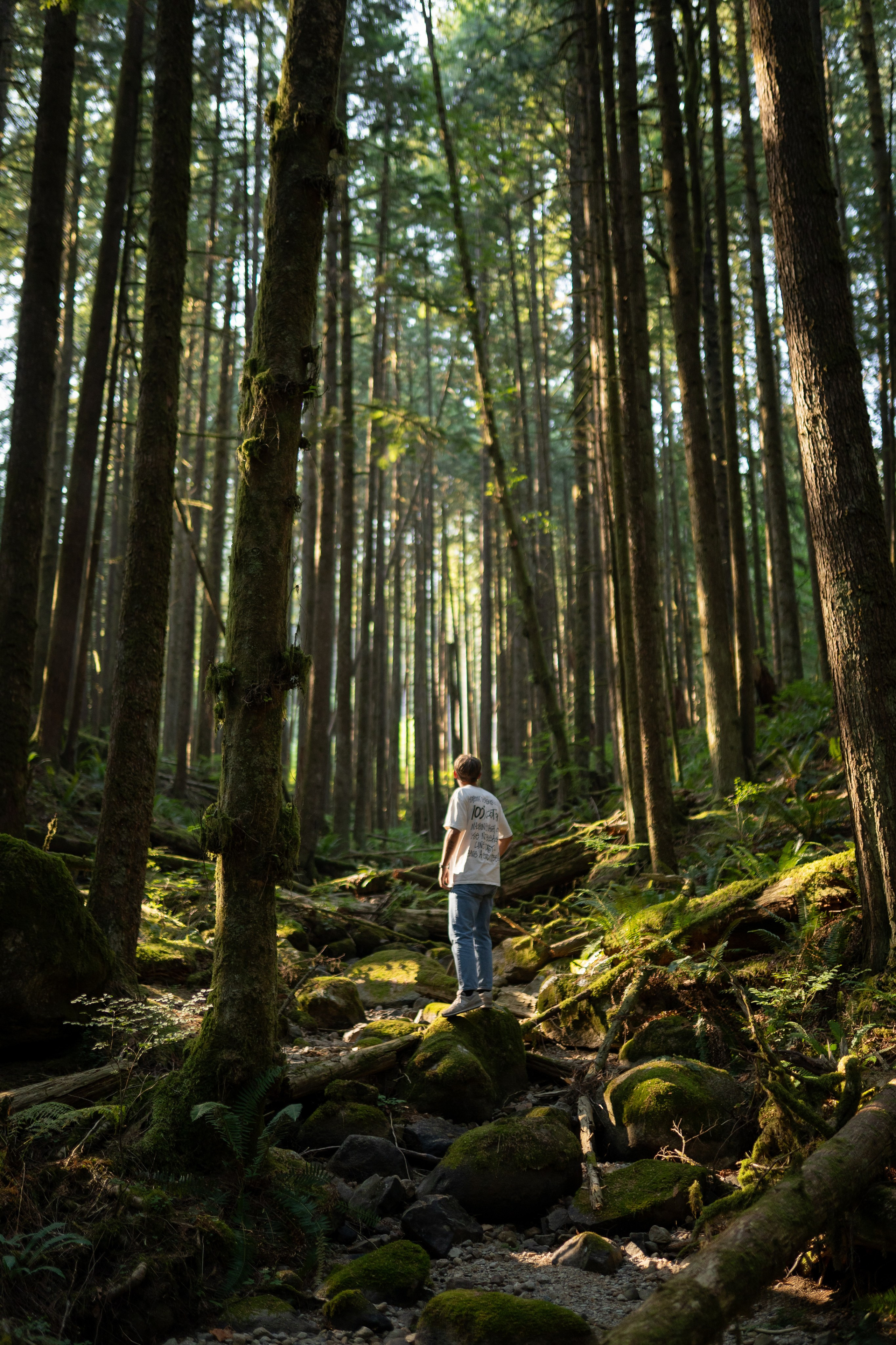 Individual. Filmmaker/ Photographer / Drone Pilot — Bangkok, Thailand