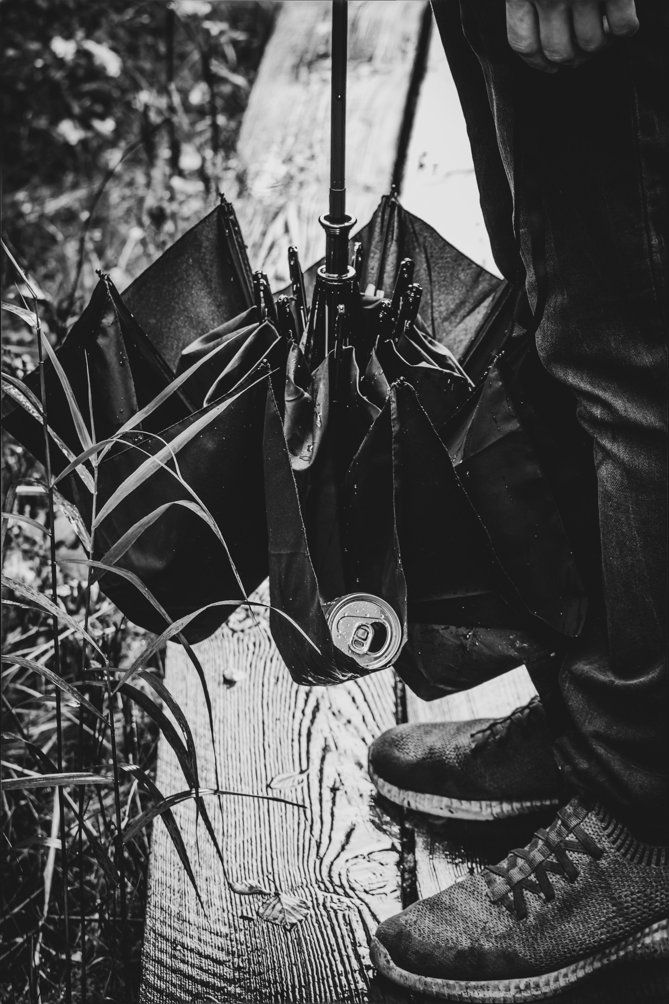 Mets, vihm ja jahedus (Dimitry). Nebula 25 — Fotod teie hingele