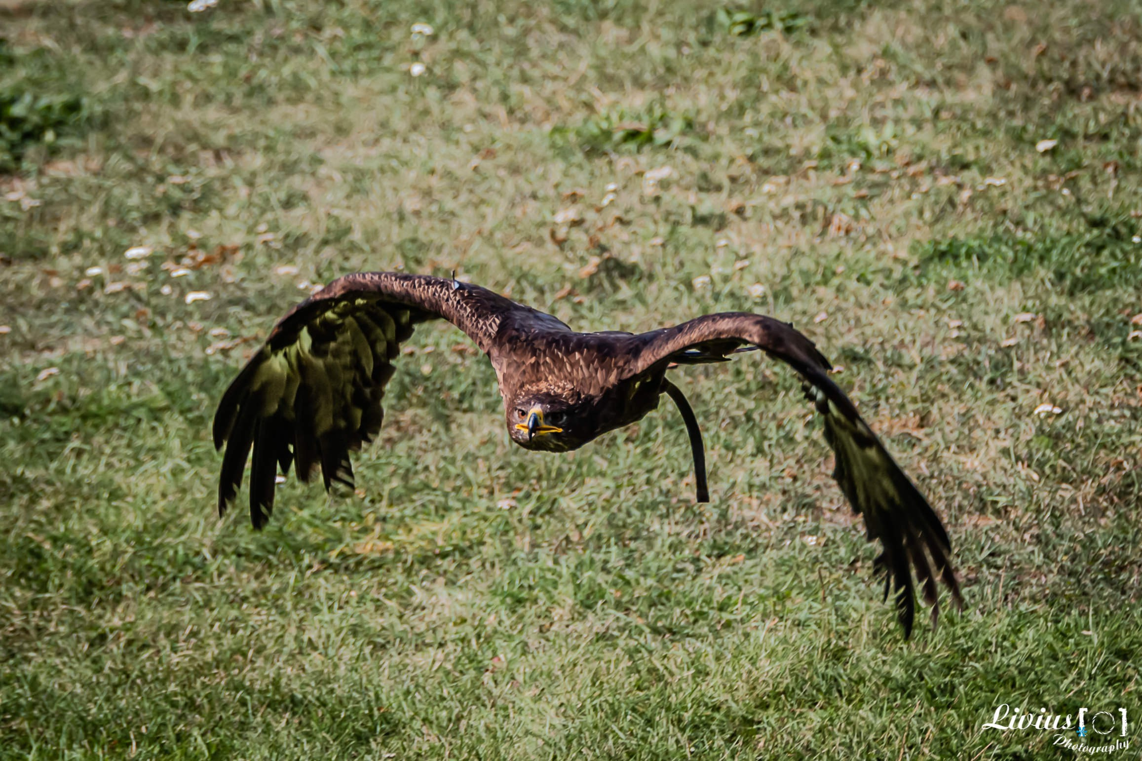 Wildpark Tambach. FOTO KREATIV