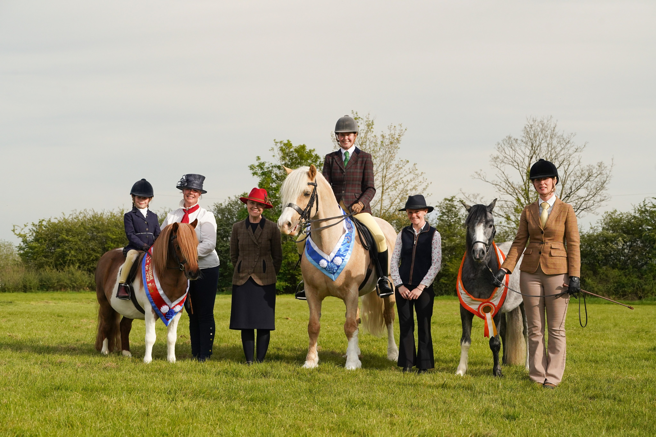 Showing. Leicestershire Equine Photography by El | Authentic Equine Portraits & Events