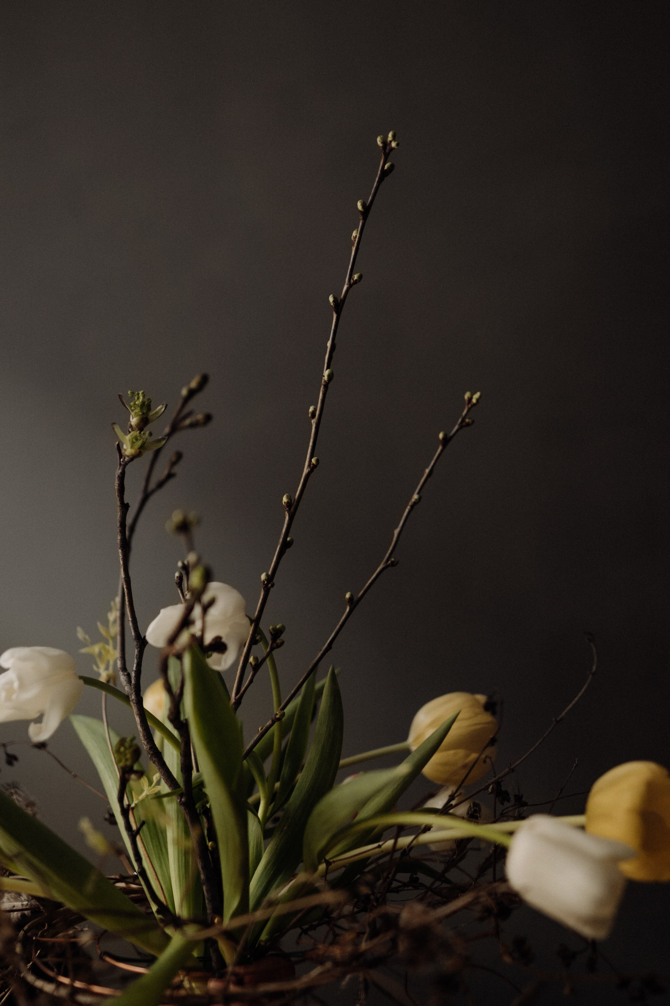 Elena. Фотограф в Праге Анна Лебедева