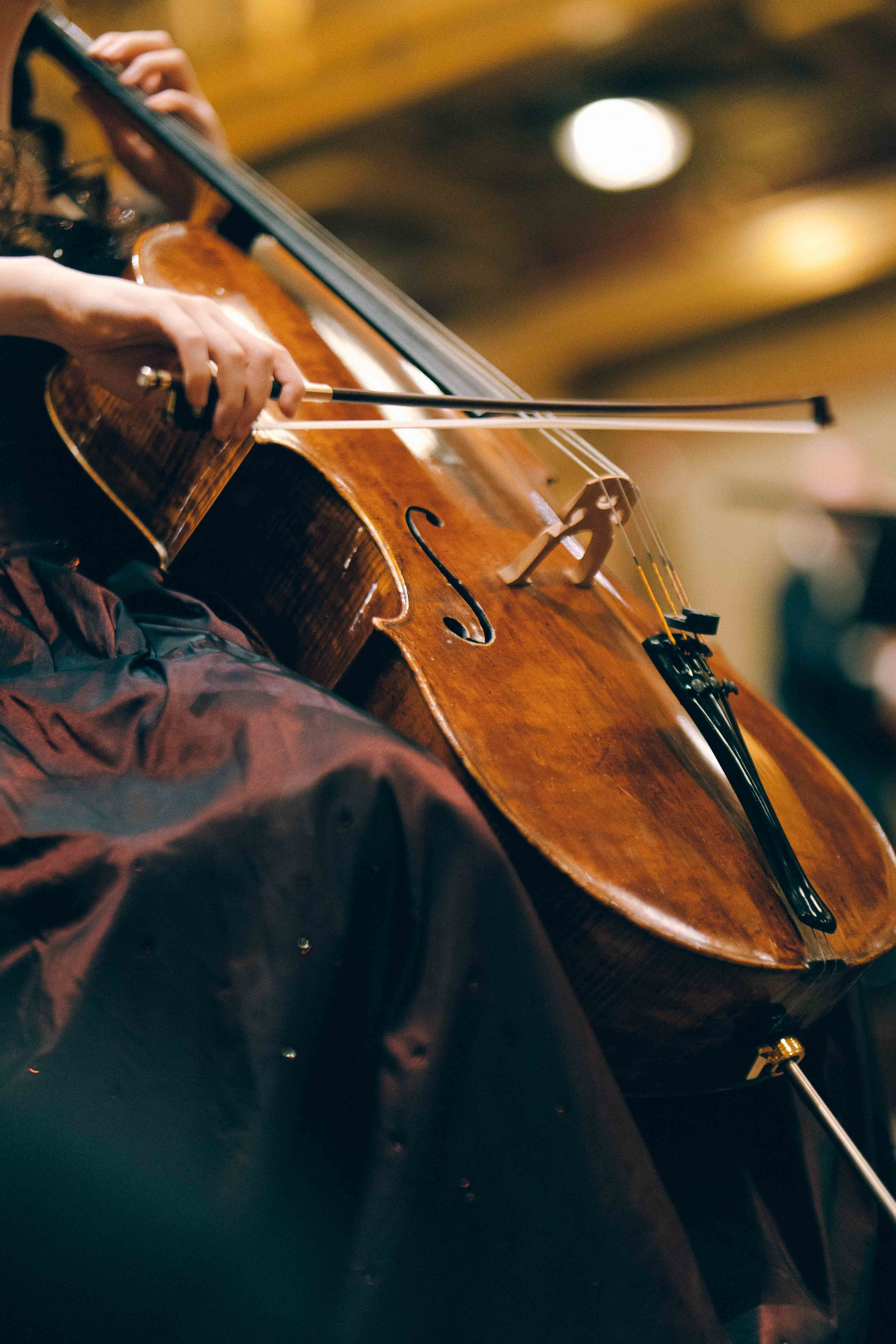 MUSIKVEREIN (VIENNA). Wedding&Event photographer Ismail Rzayev in Baku