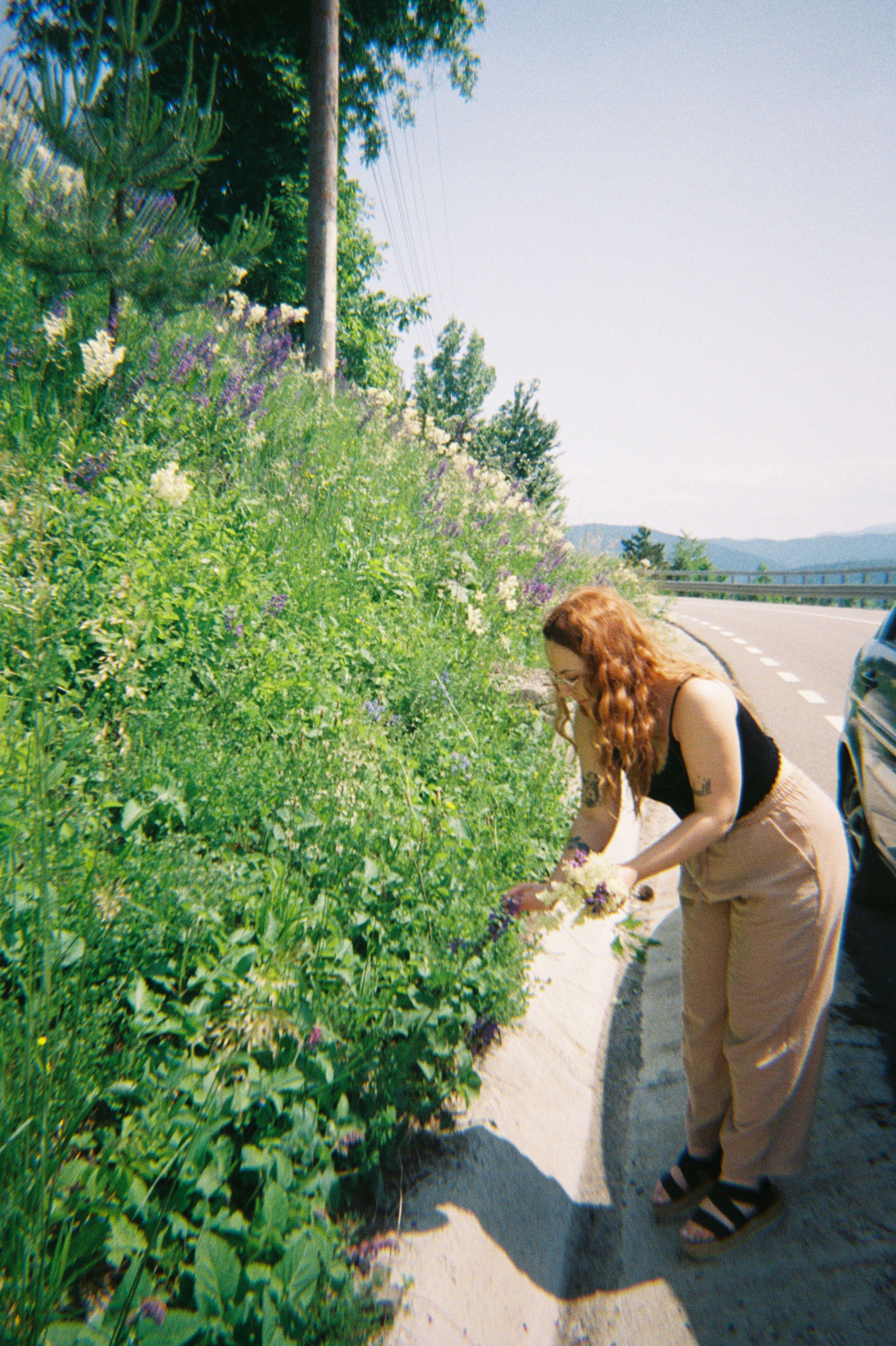 Mîndrii’s holiday