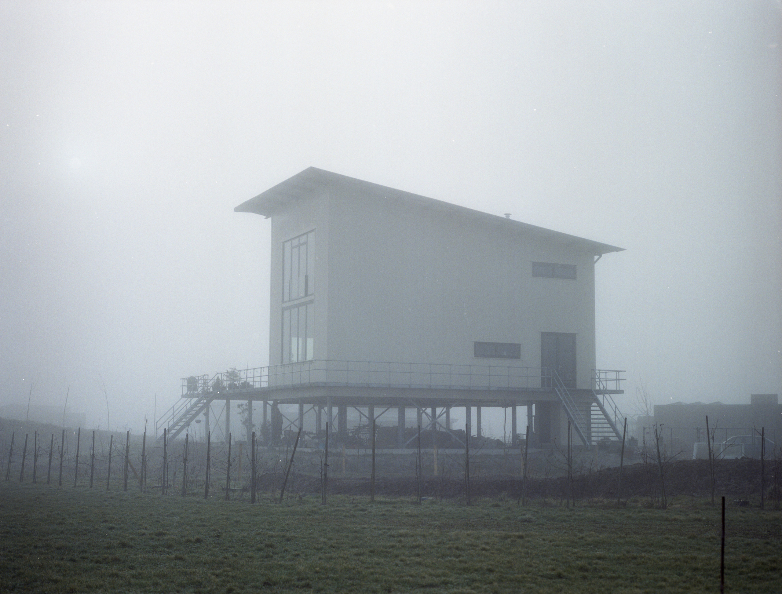 Oosterwold. Fotograaf Amsterdam - Victoria Ushkanova