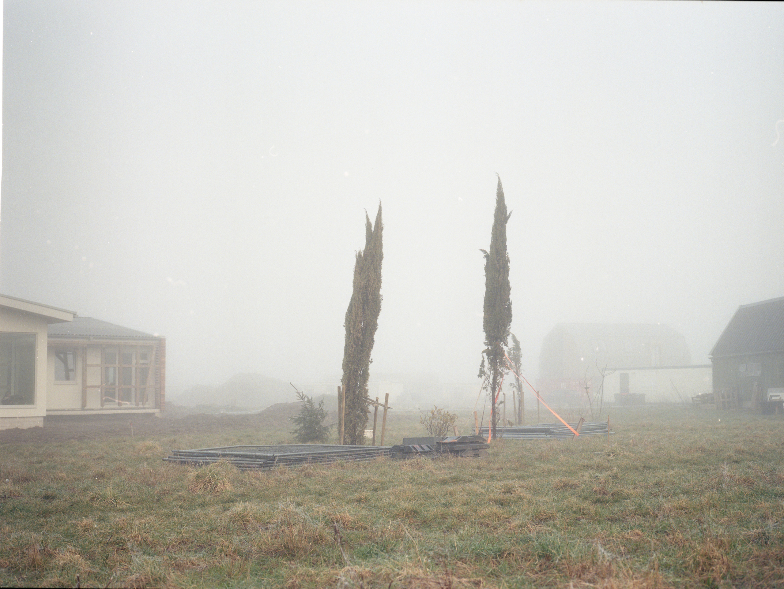 Oosterwold. Fotograaf Amsterdam - Victoria Ushkanova