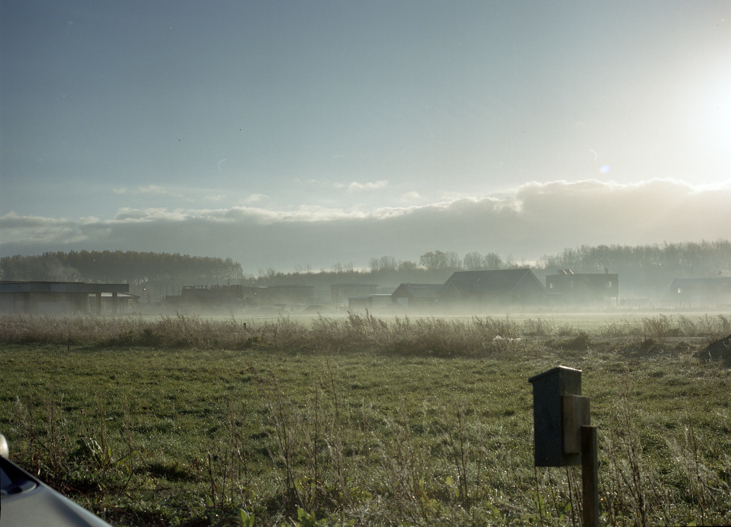Oosterwold. Fotograaf Amsterdam - Victoria Ushkanova
