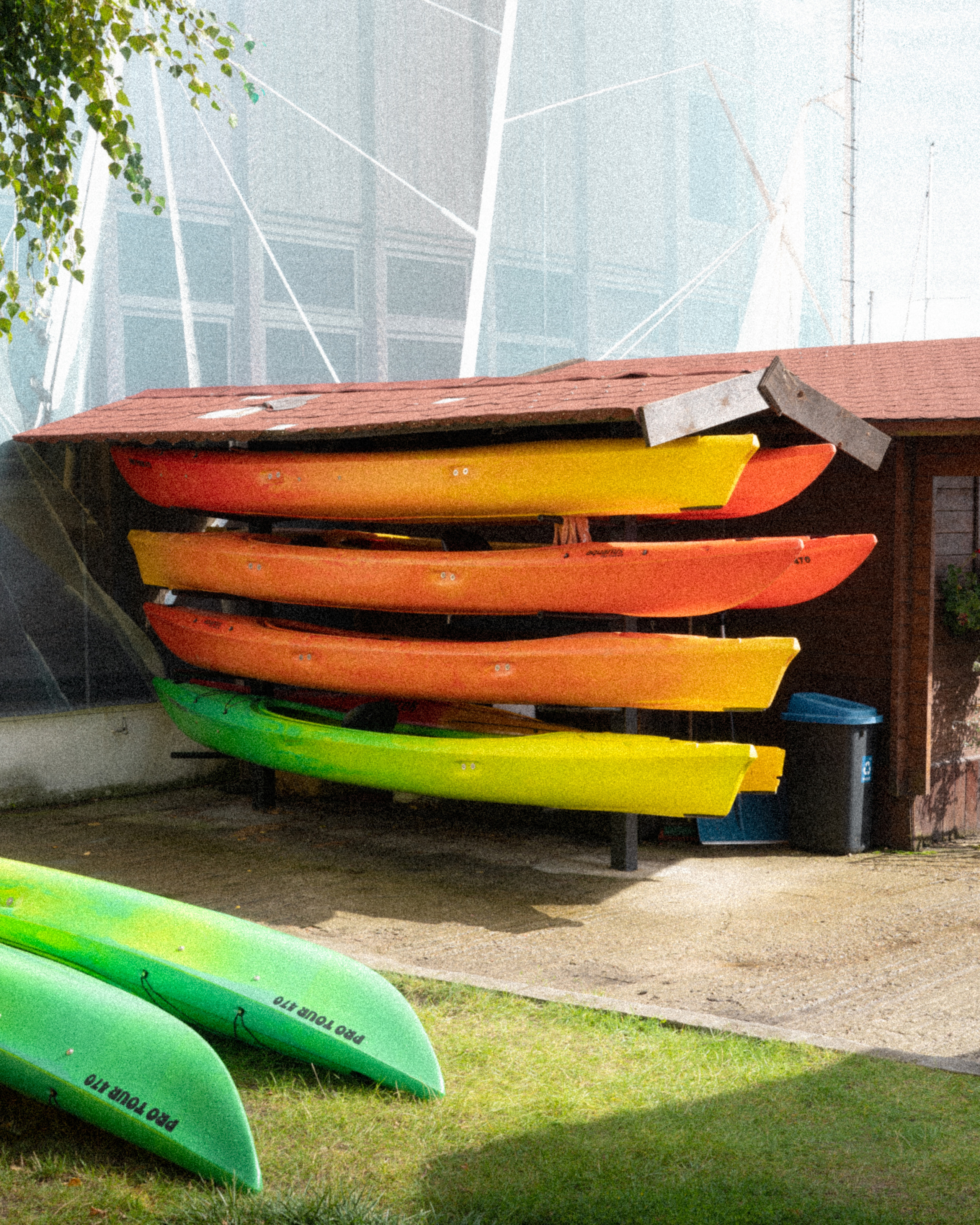 Roaming. Mike Avelli