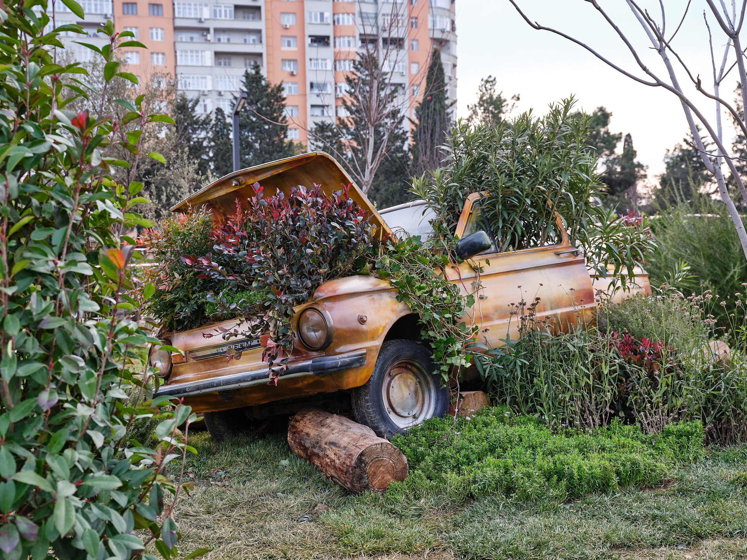 Alatava park. Elmar Mustafazadeh Photography