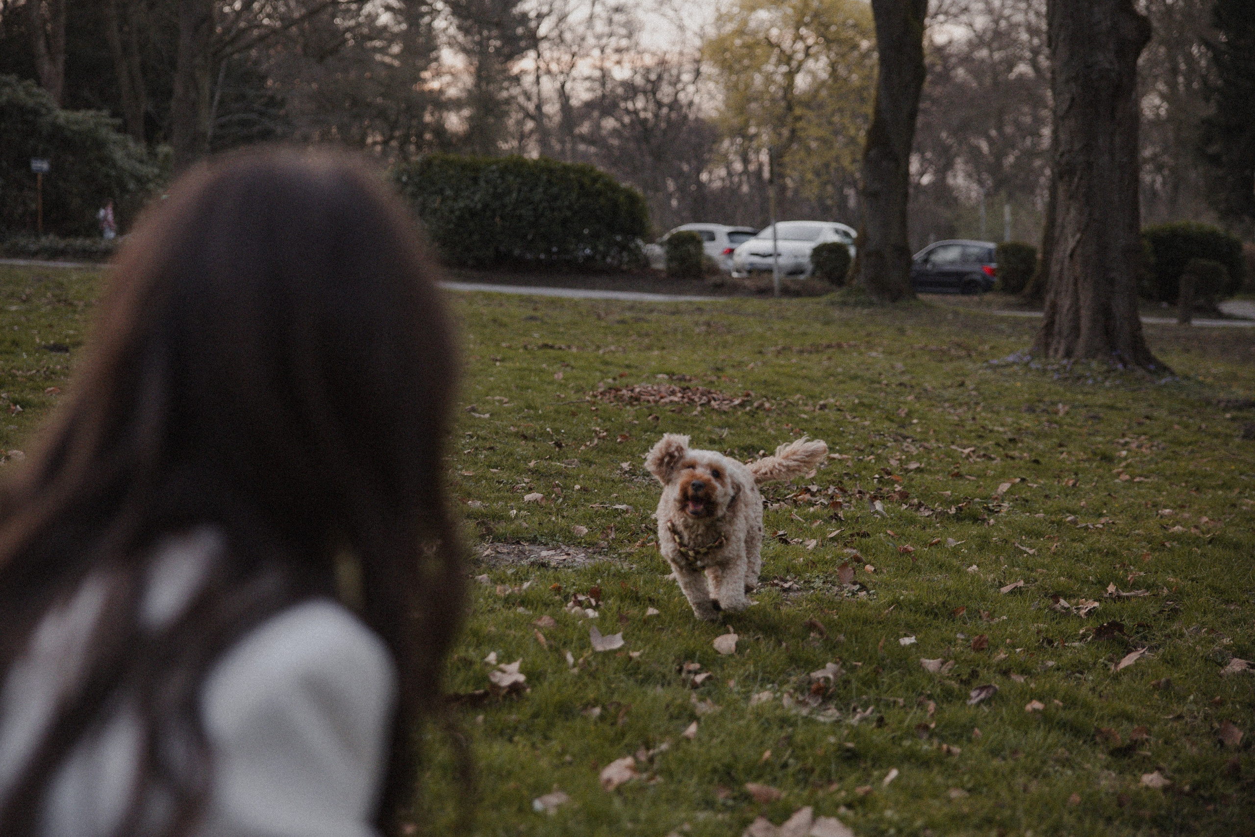 Morena & Niklas I Haus Hohenstein. Hochzeitsfotografin Bochum | Halyna Reiche Fotografie NRW