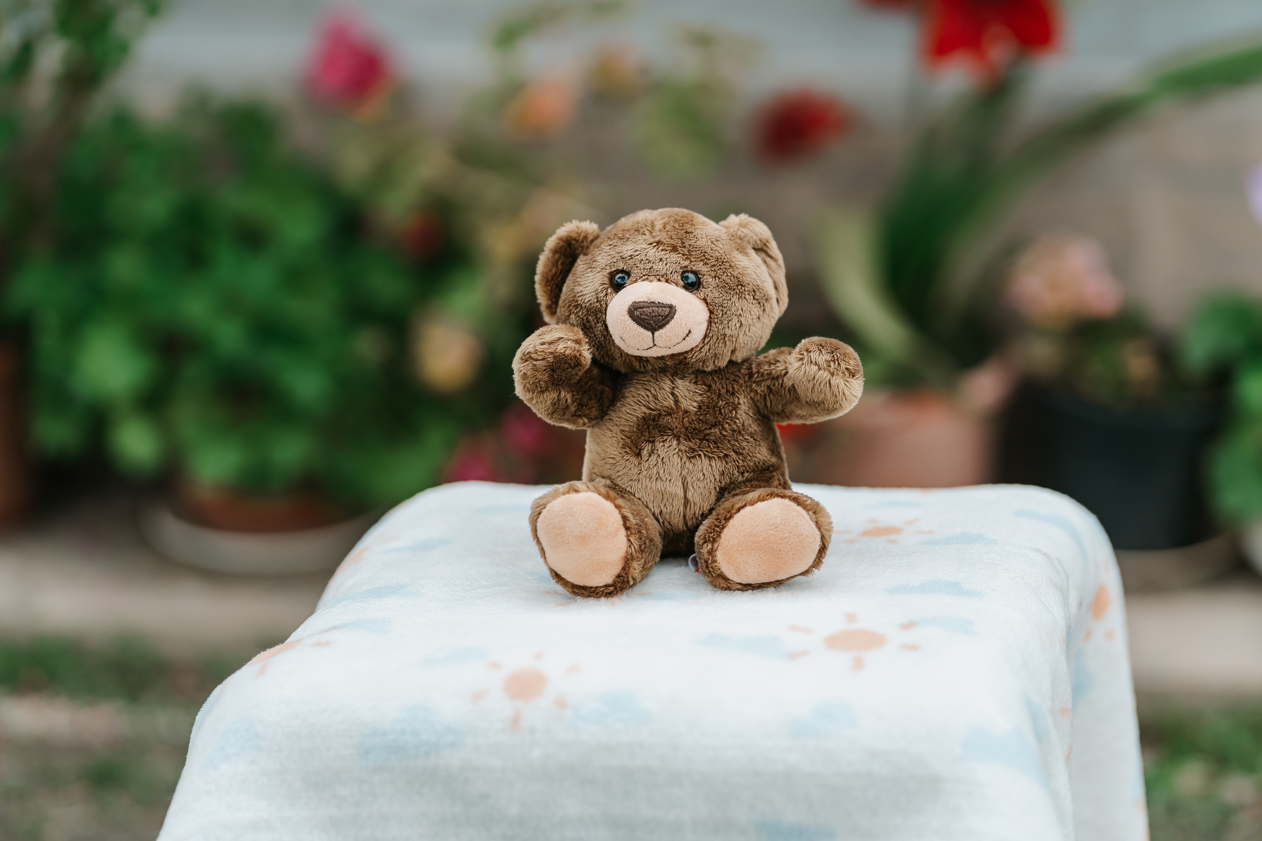 Lucas Andrei. Dara Lens | The art of remembering