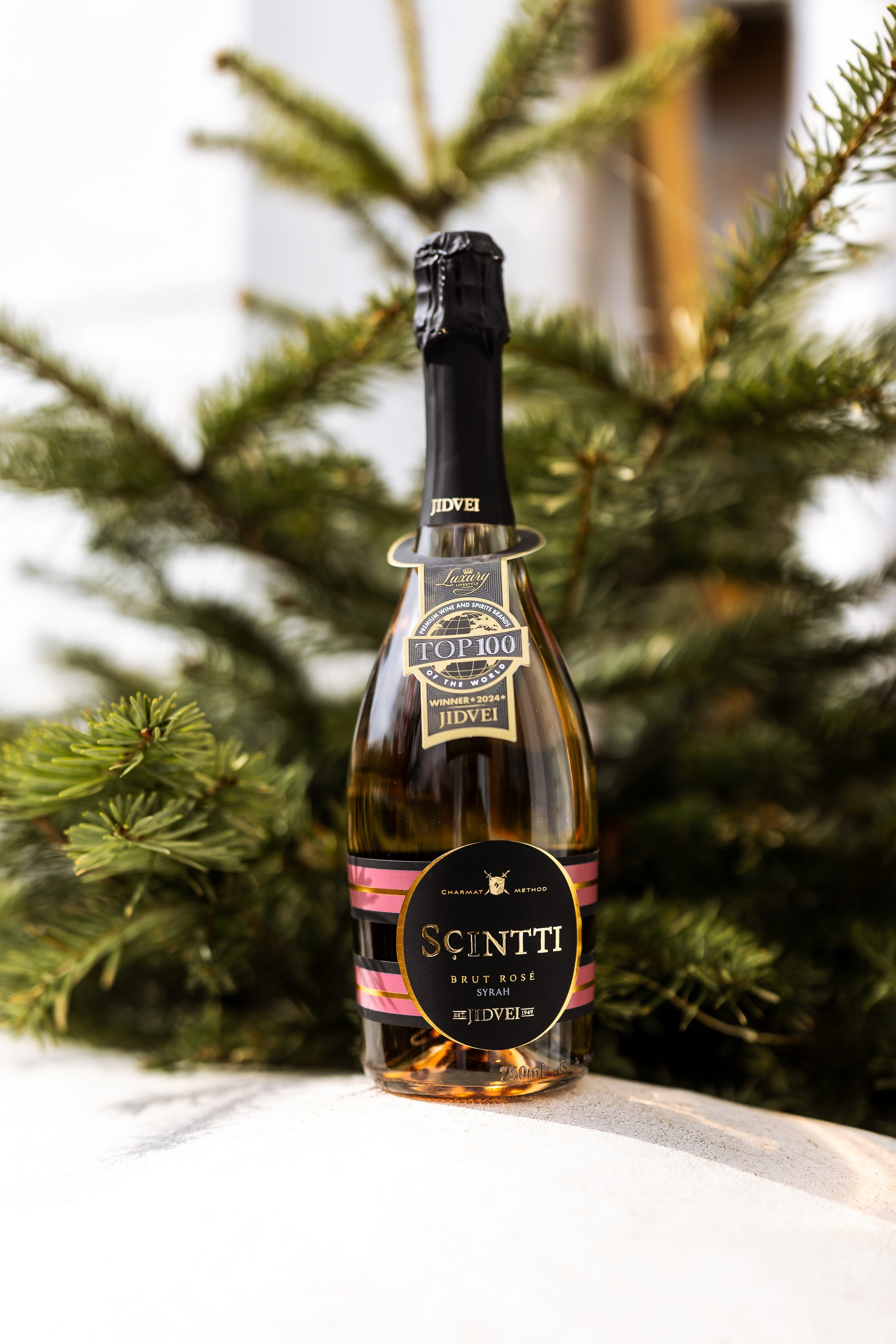 Taste Busters 3. Marius Ciocan