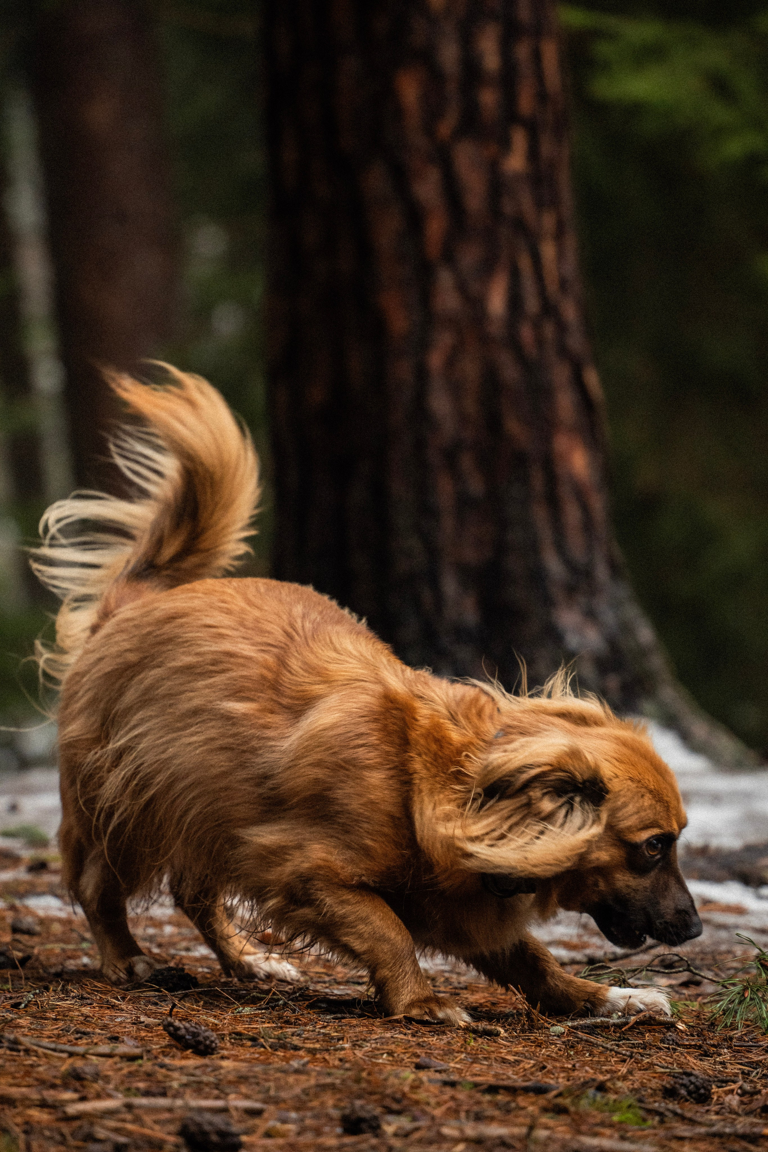 Irina and Oleg. Everwarm Photo and Video Studio