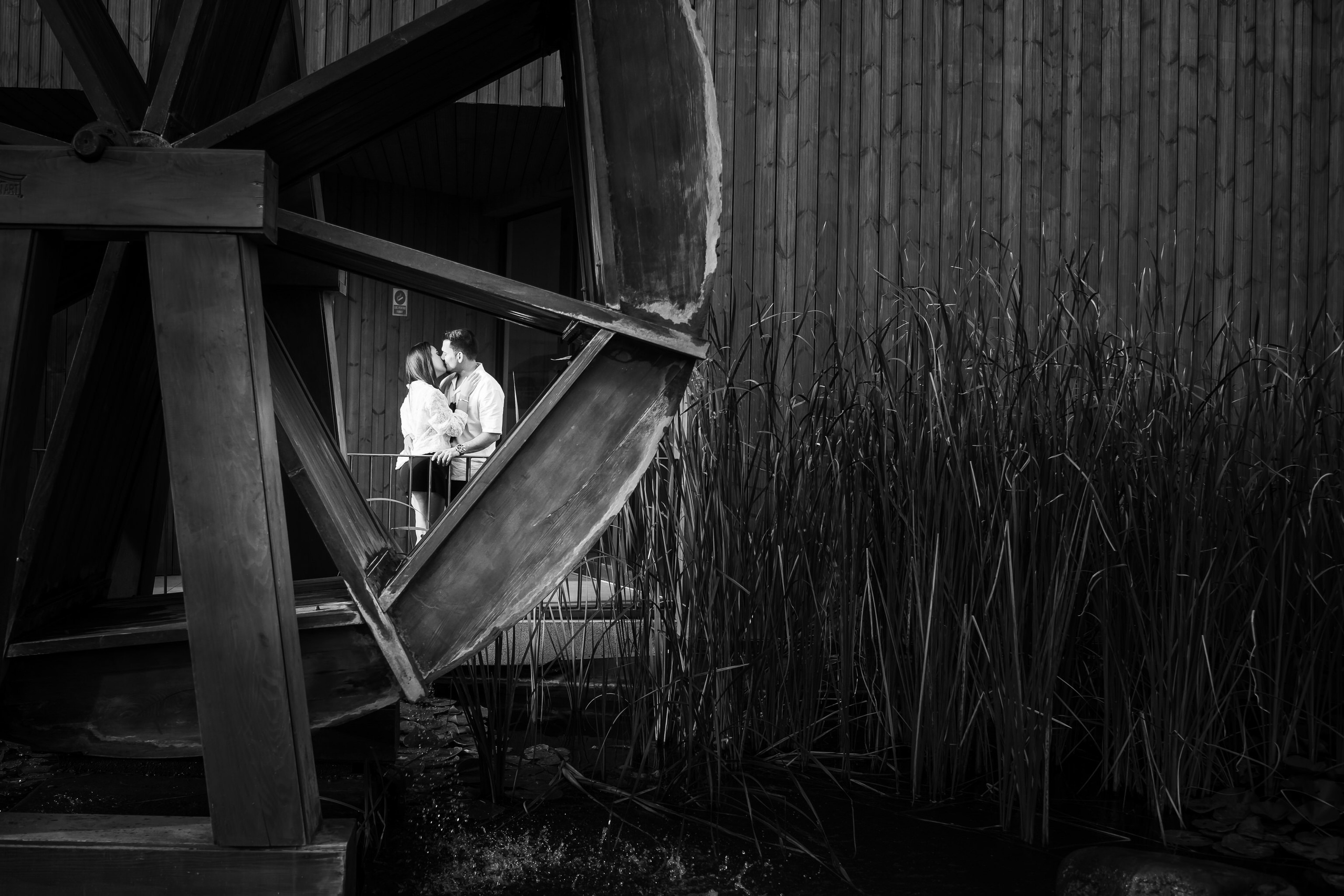 Save the Date Corina & Catalin