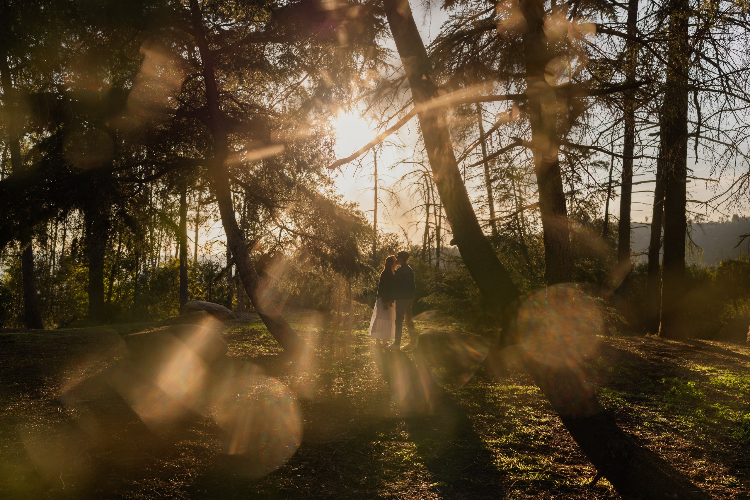 Emilia & Daniel. Cinematic Wedding & Elopement Photography in Los Angeles | Inspired by Indie Film & Real Life