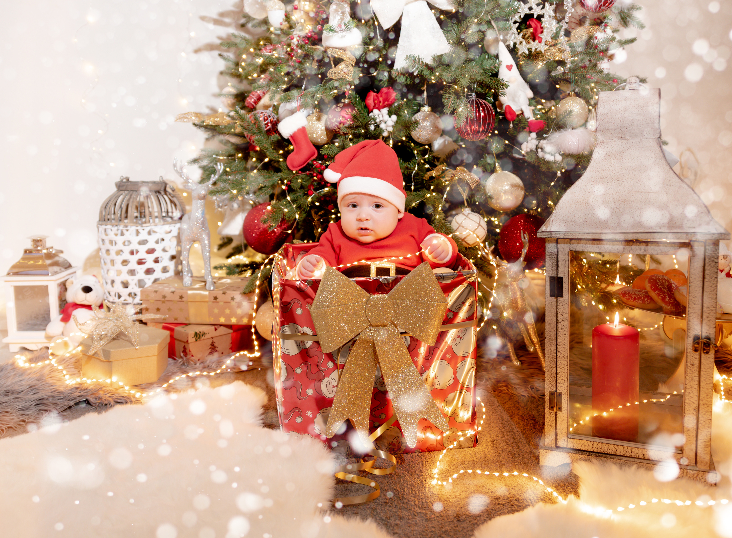 New Year Photoshoot. Professional Photograher, Antwerpen/Belgium