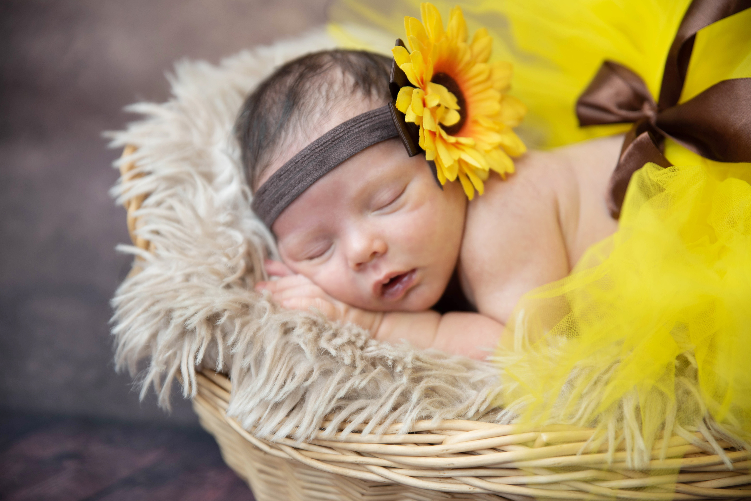 Newborn Photoshoot. Professional Photograher, Antwerpen/Belgium