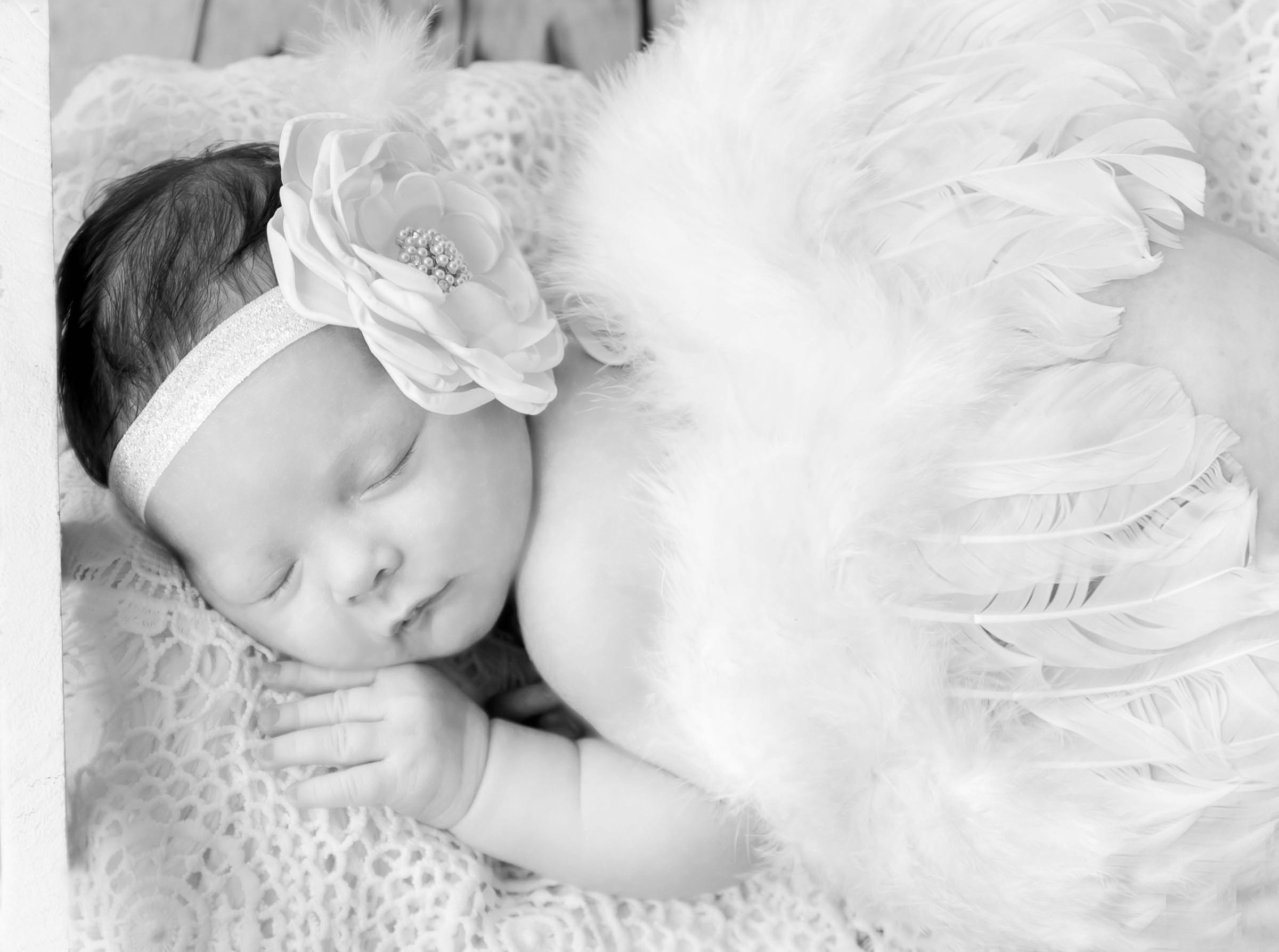 Newborn Photoshoot. Professional Photograher, Antwerpen/Belgium