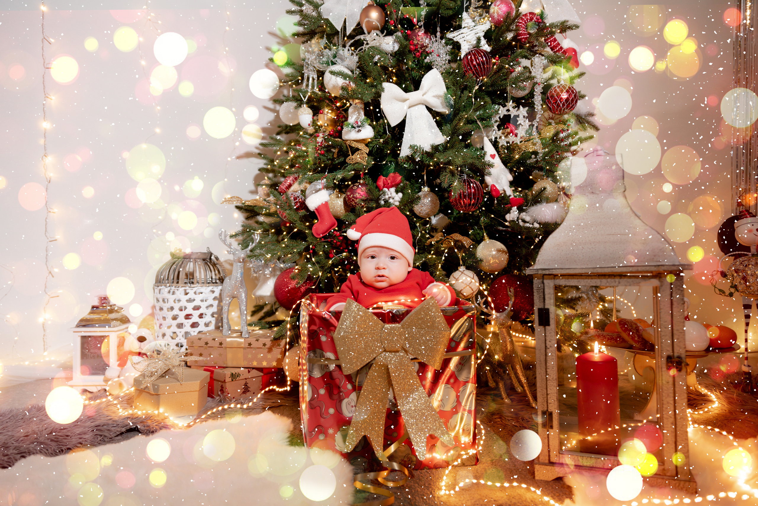 New Year Photoshoot. Professional Photograher, Antwerpen/Belgium