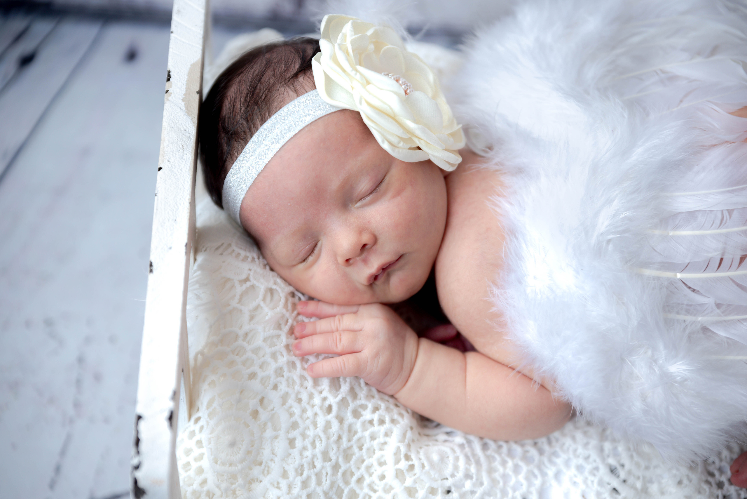 Newborn Photoshoot. Professional Photograher, Antwerpen/Belgium