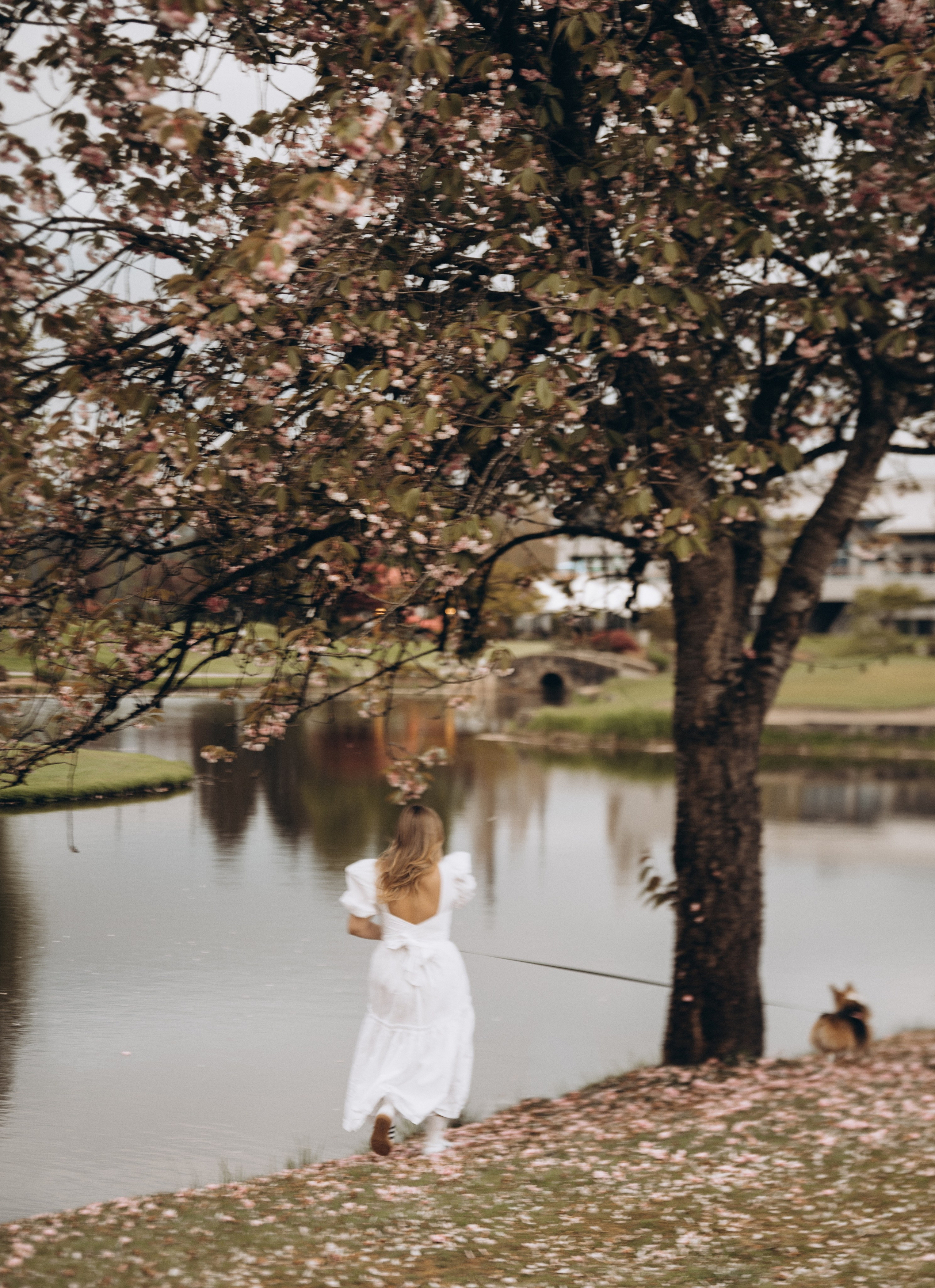 Sofia. Vancouver Photographer | Catherine Vashchenko