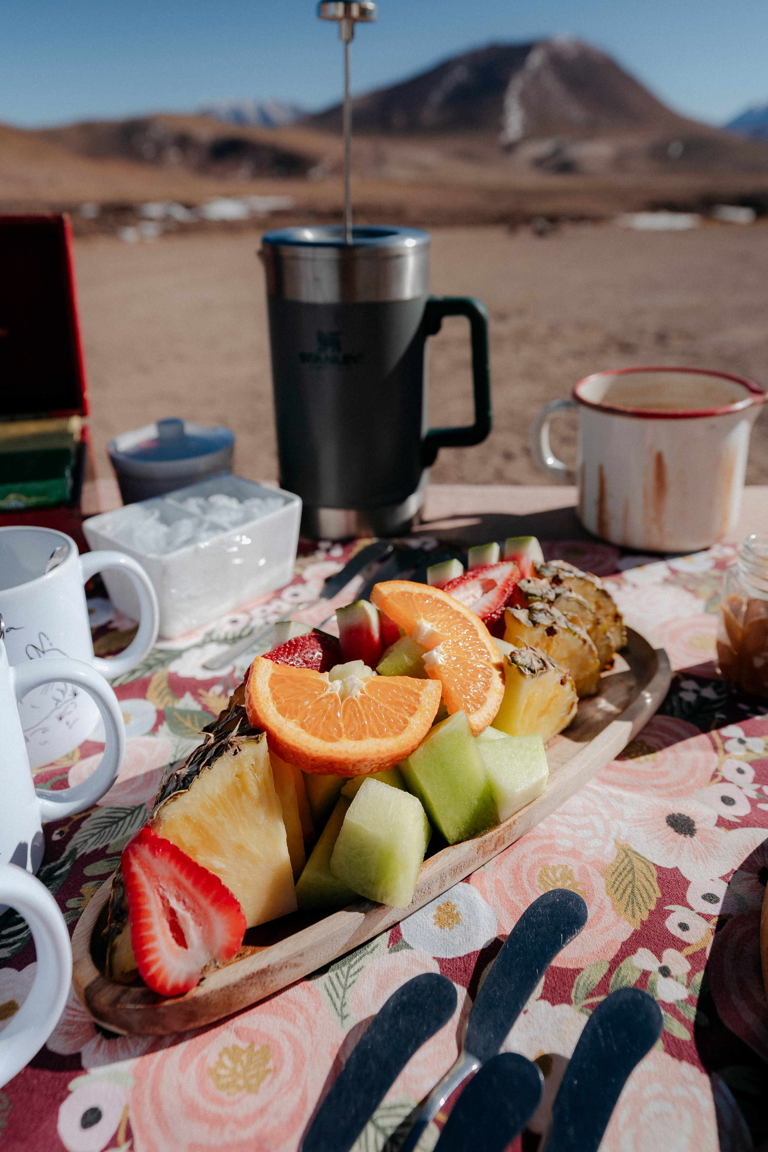 Geyser El Tatio (cobertura en tour privado). Principal
