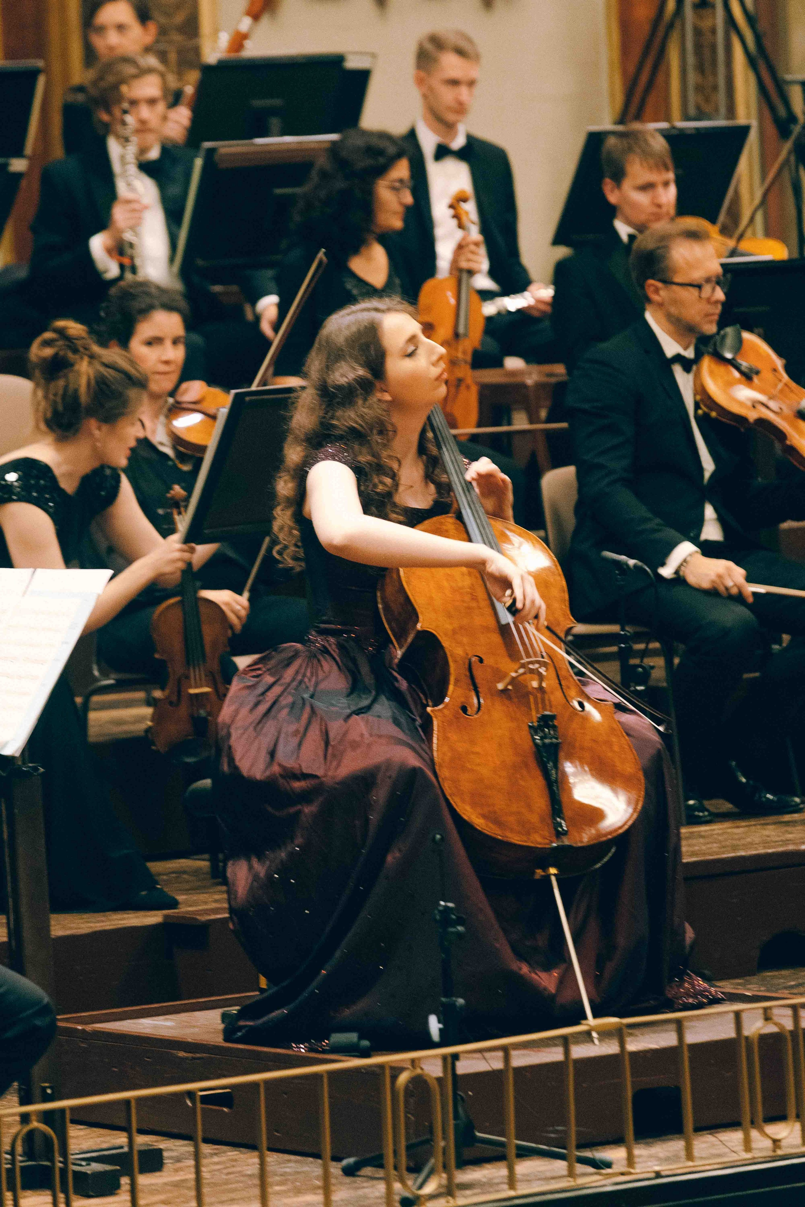 MUSIKVEREIN (VIENNA). Wedding&Event photographer Ismail Rzayev in Baku
