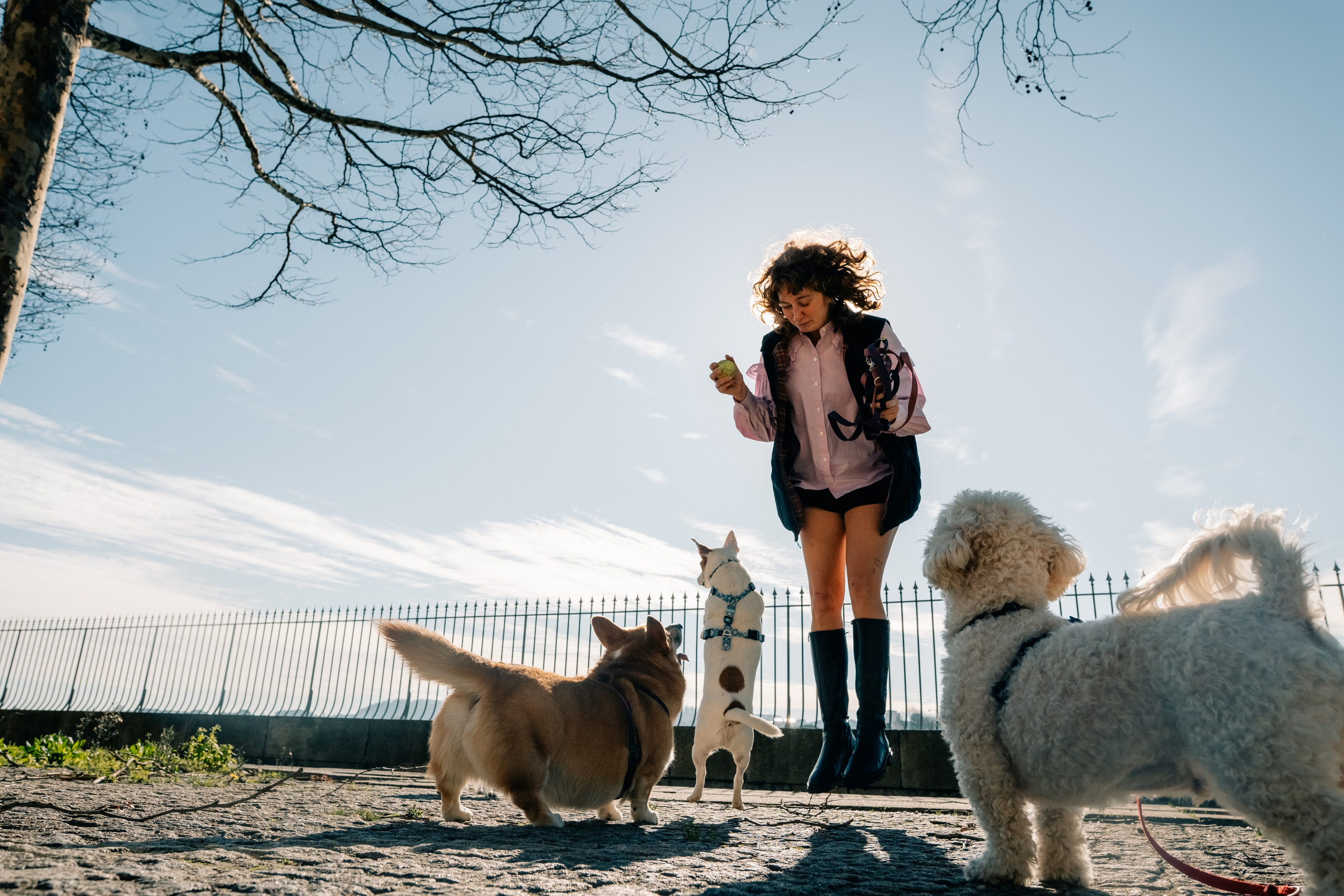 Yana & Doggos in Bonfim. Maria Sher. Professional photographer from Porto, Portugal