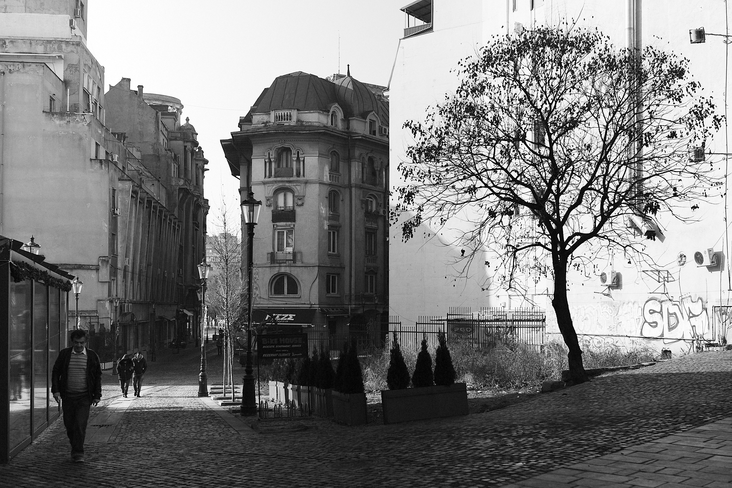 Monochrome. A Creative Insight | Catalin Nastase