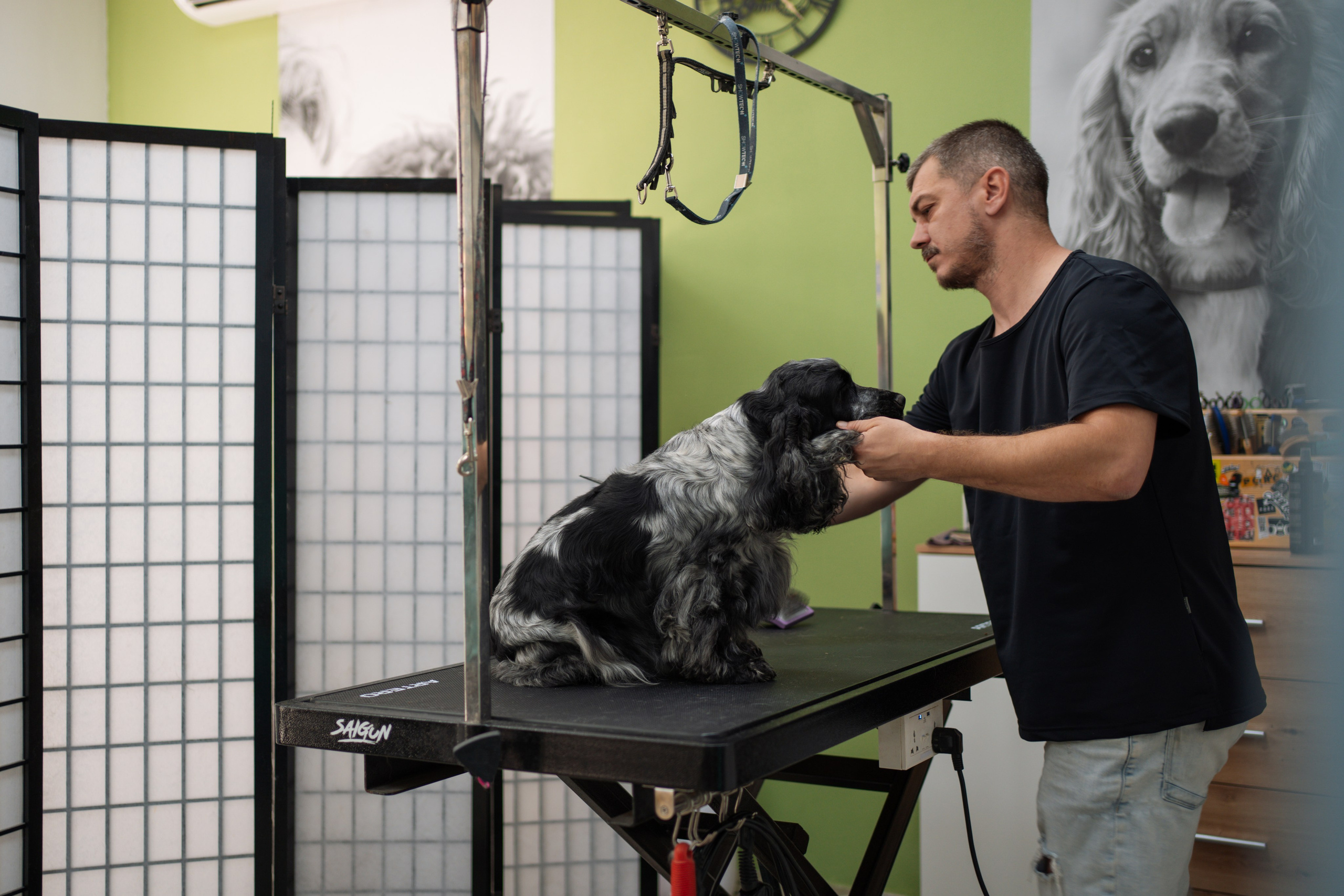 PetGroom Timisoara. Cozac Cristian Photographer