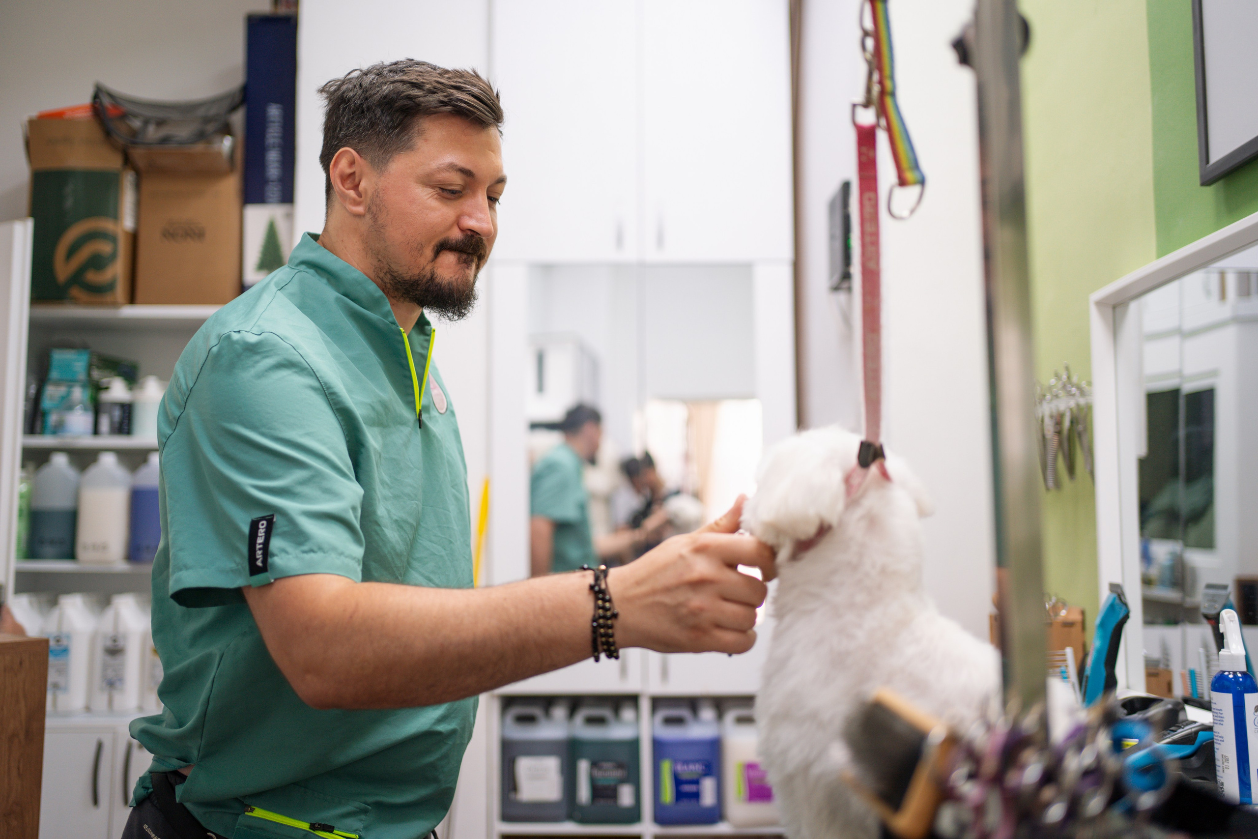 PetGroom Timisoara. Cozac Cristian Photographer