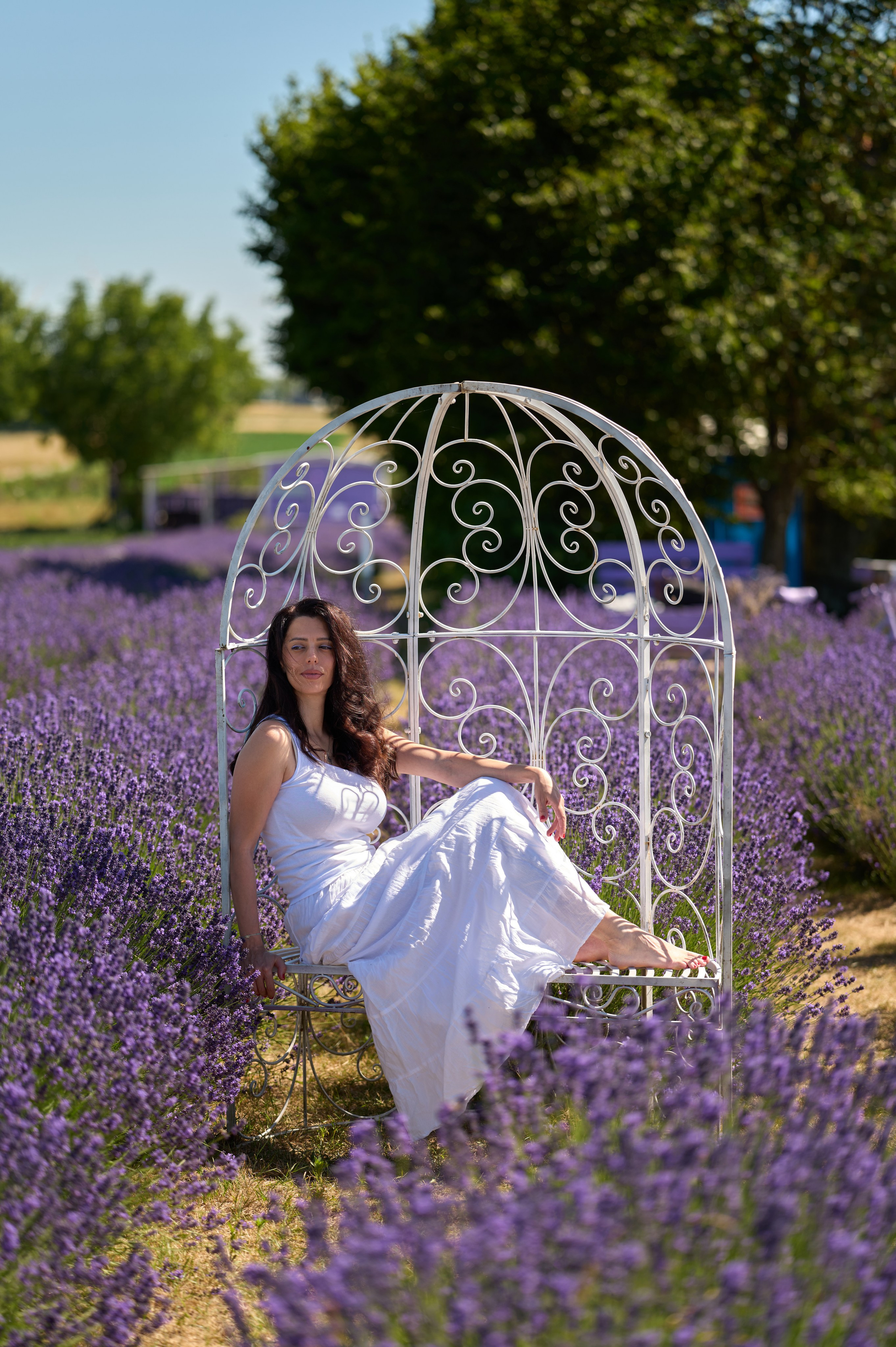 Purple. Nelly Bijeva Photography
