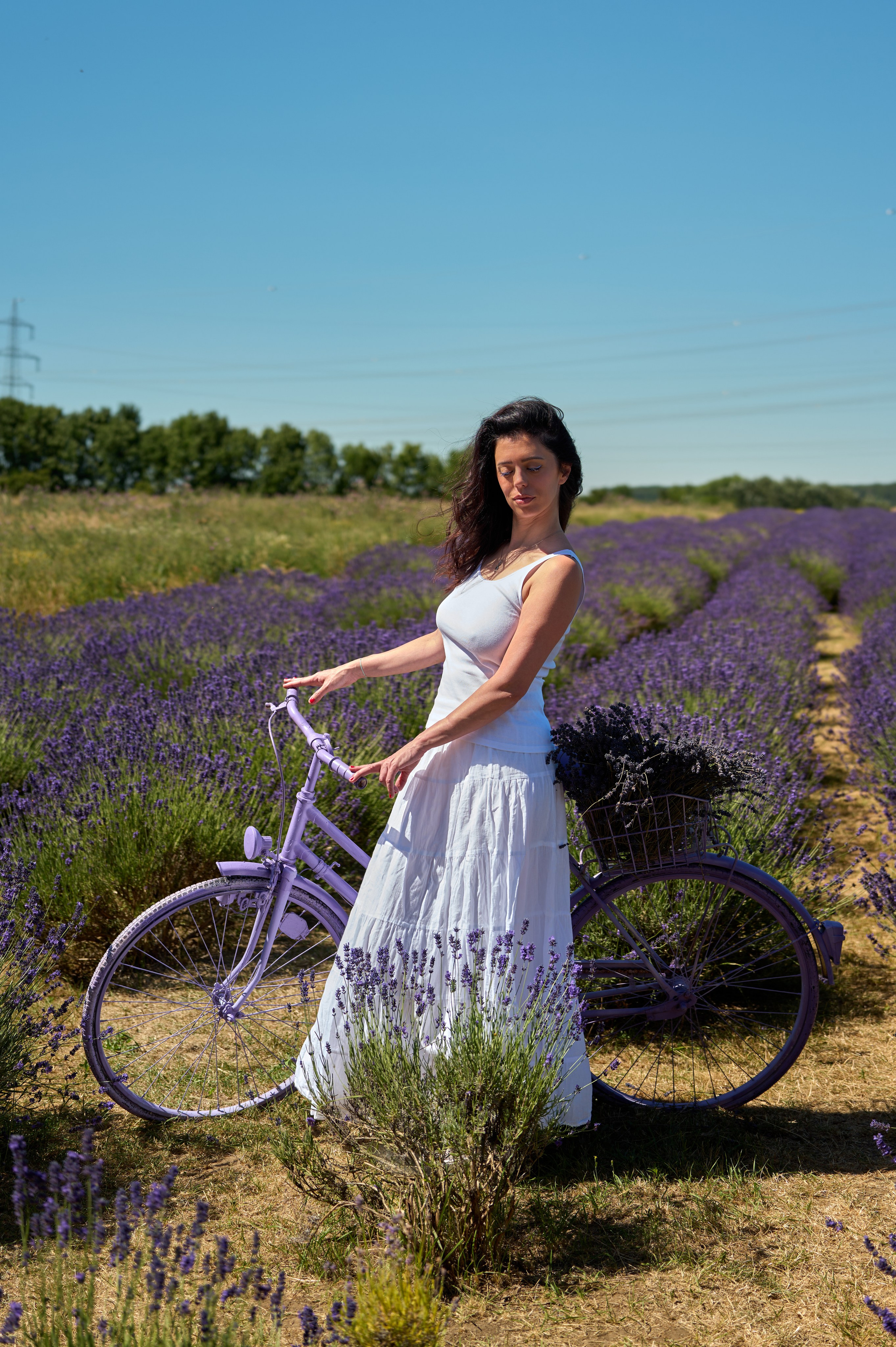 Purple. Nelly Bijeva Photography