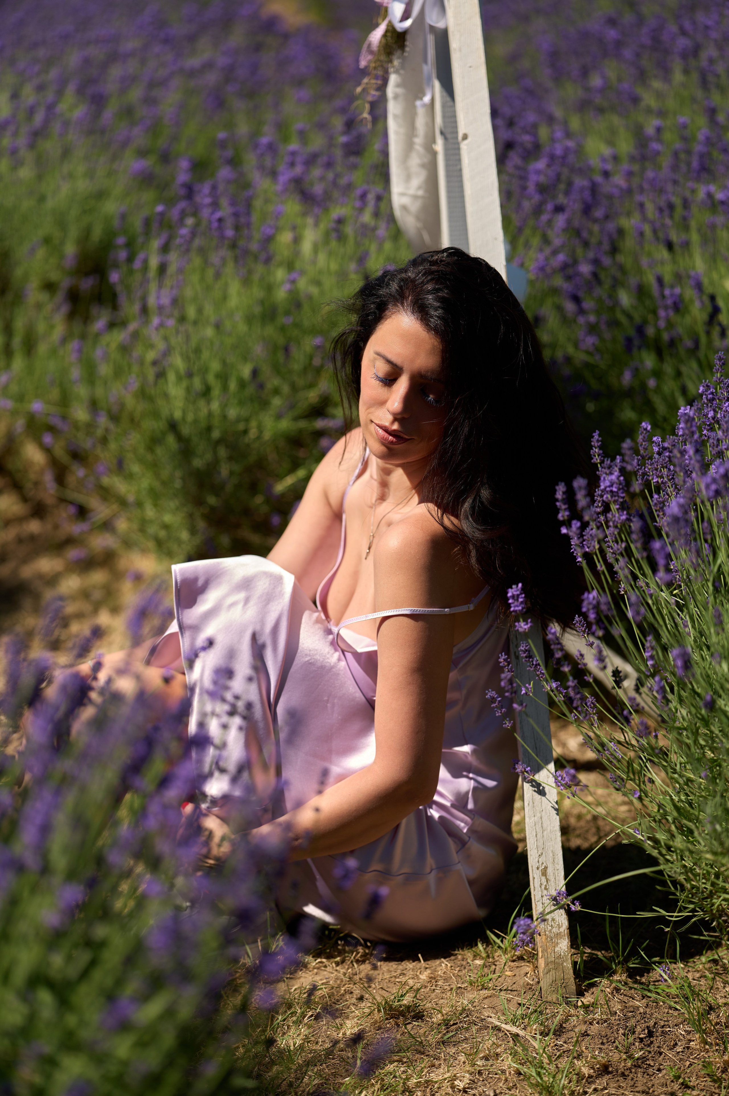 Purple. Nelly Bijeva Photography