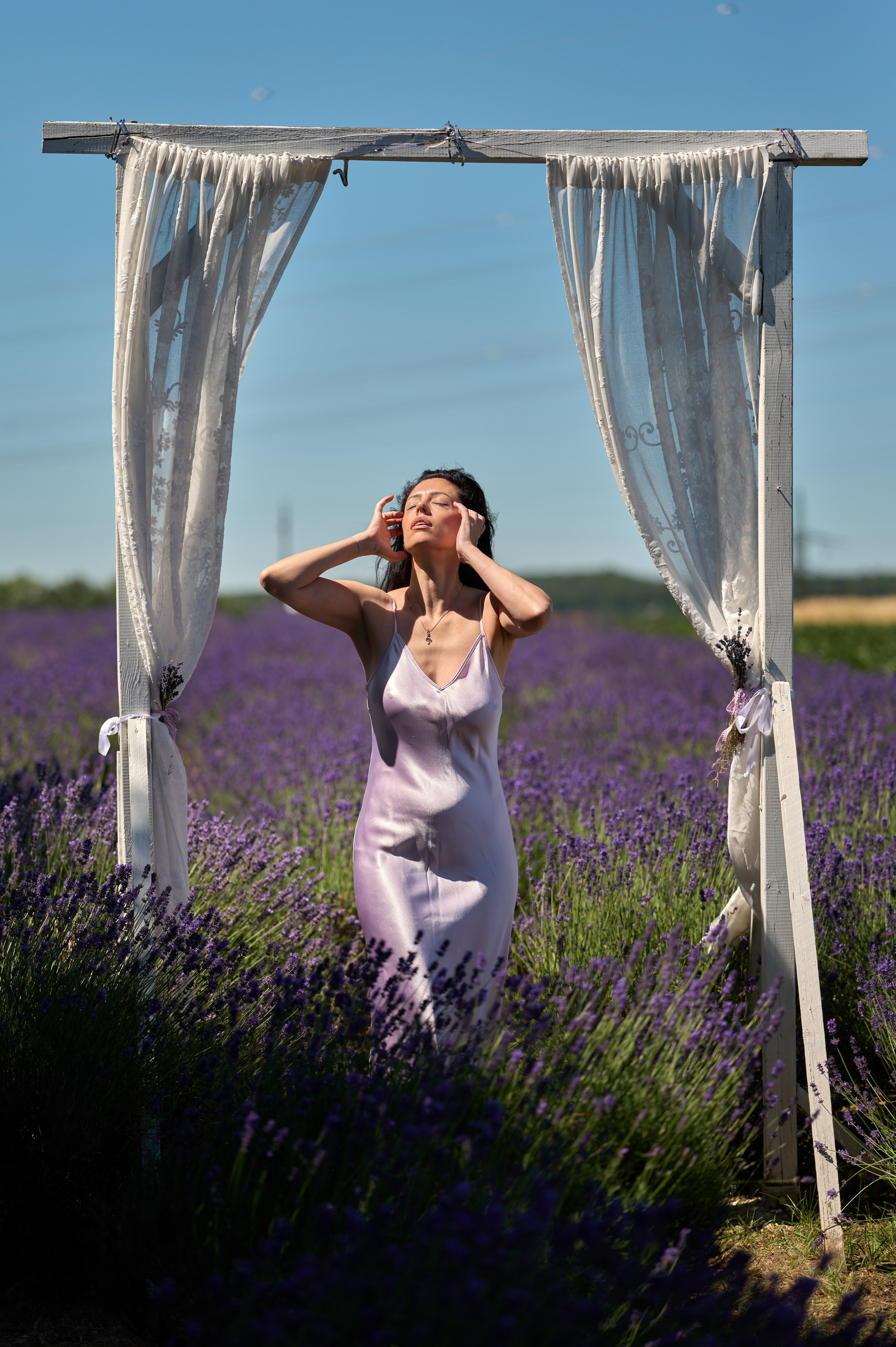 Purple. Nelly Bijeva Photography