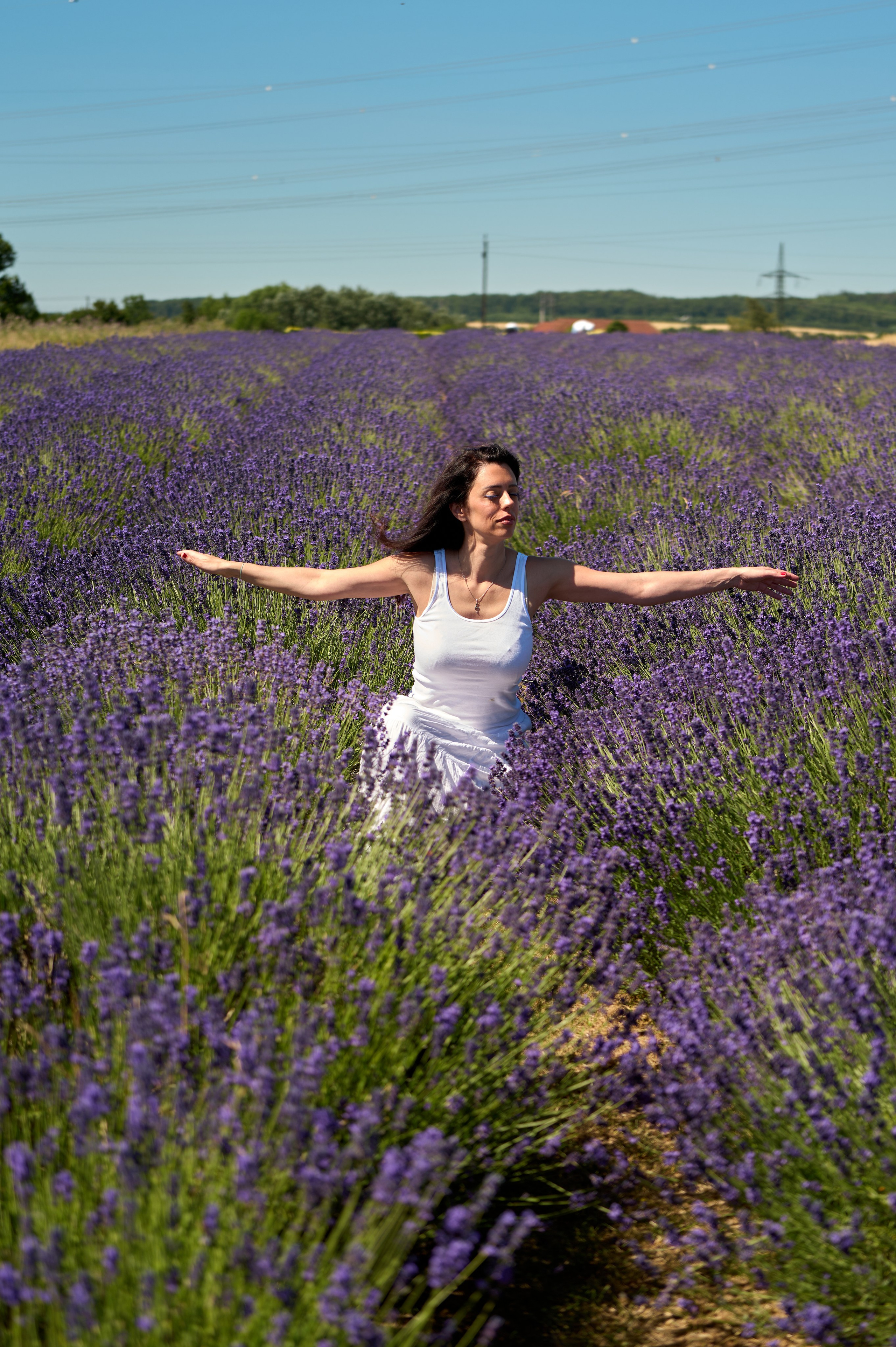 Purple. Nelly Bijeva Photography