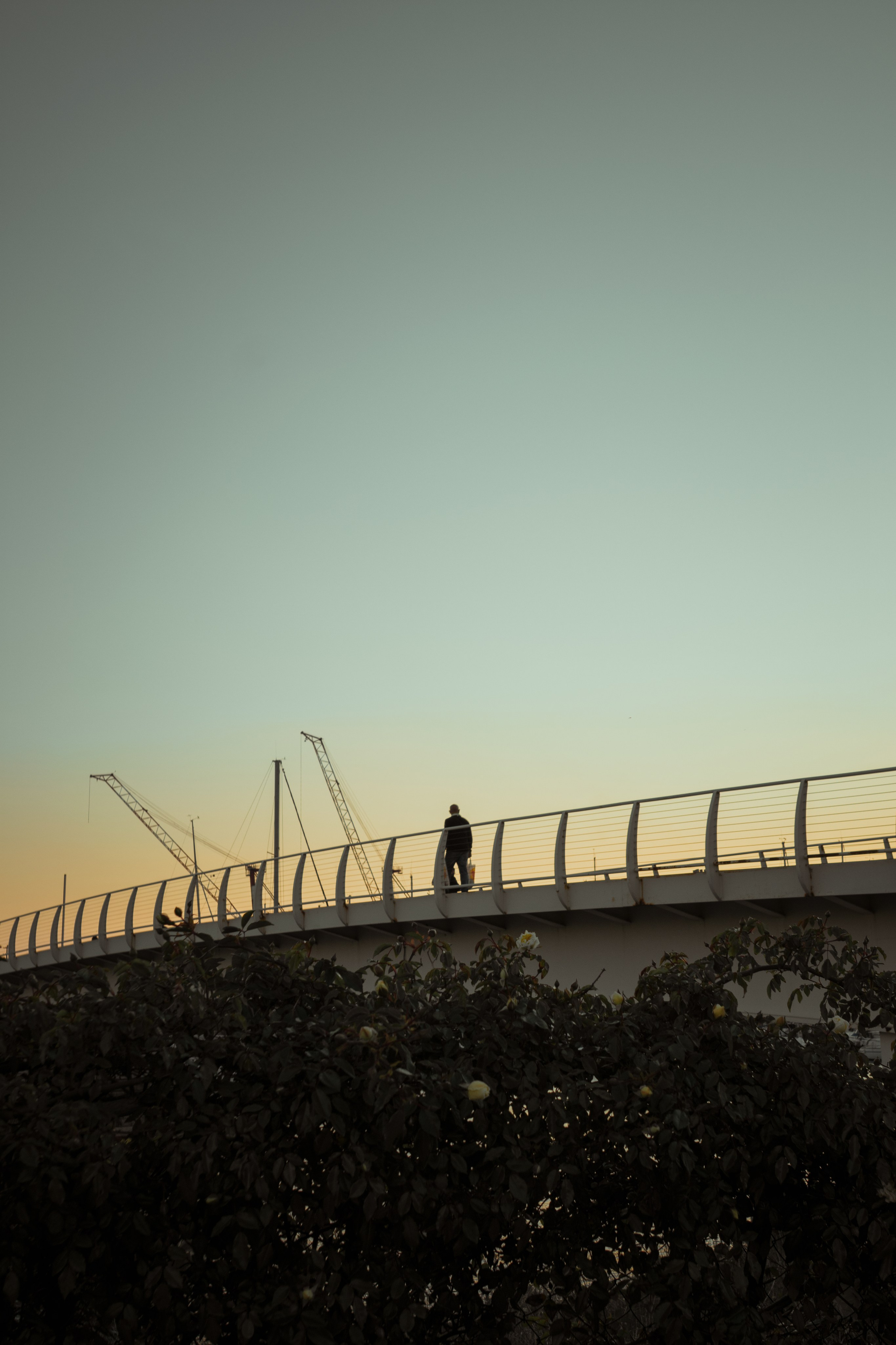 Street. Federico Anglano