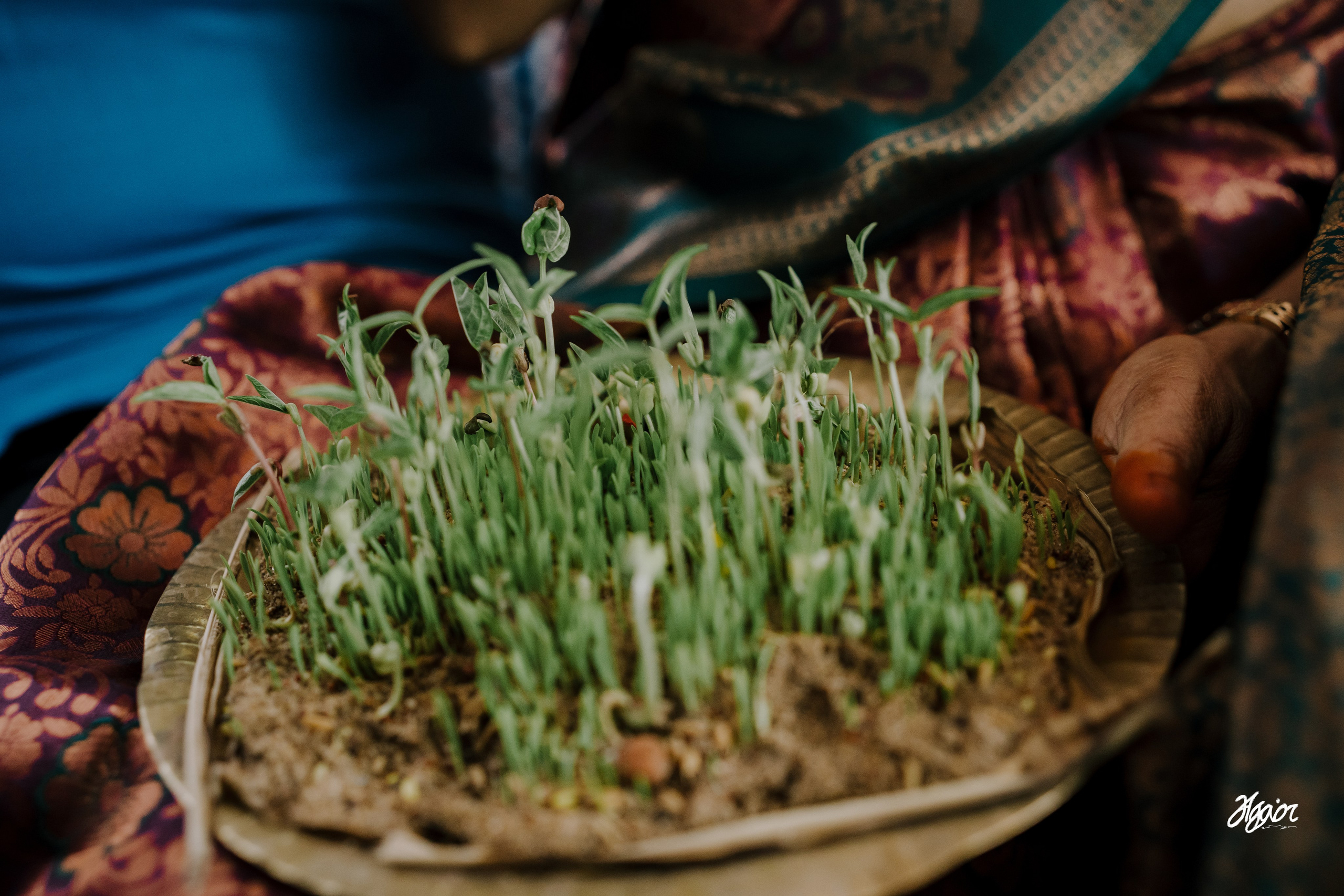 A Decade of Love, Sealed in a Soulful Agam Vizha. Agam Vizha