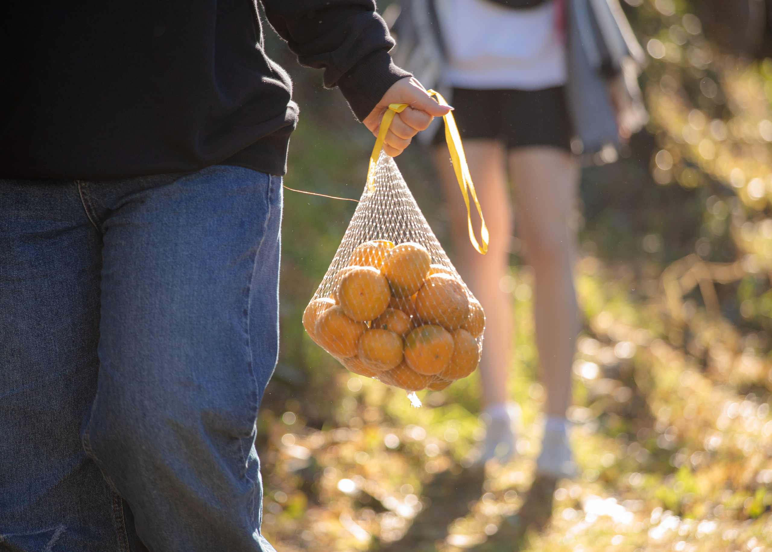 Event. PHOTOSTORYNIKA