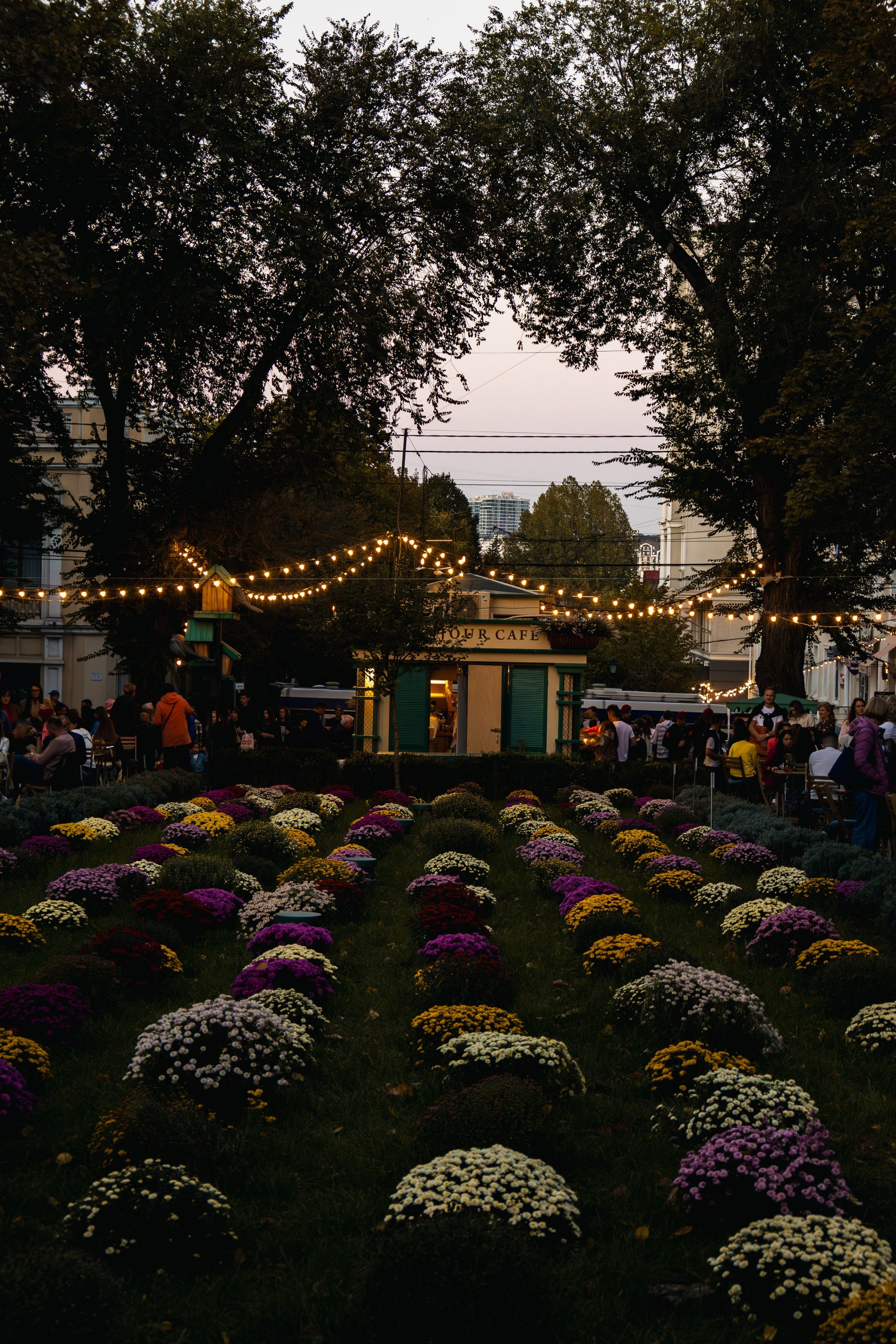 City Day Chișinău 2023. Дизайнер и Фотограф в Кишинёве Бусуйок Станислав