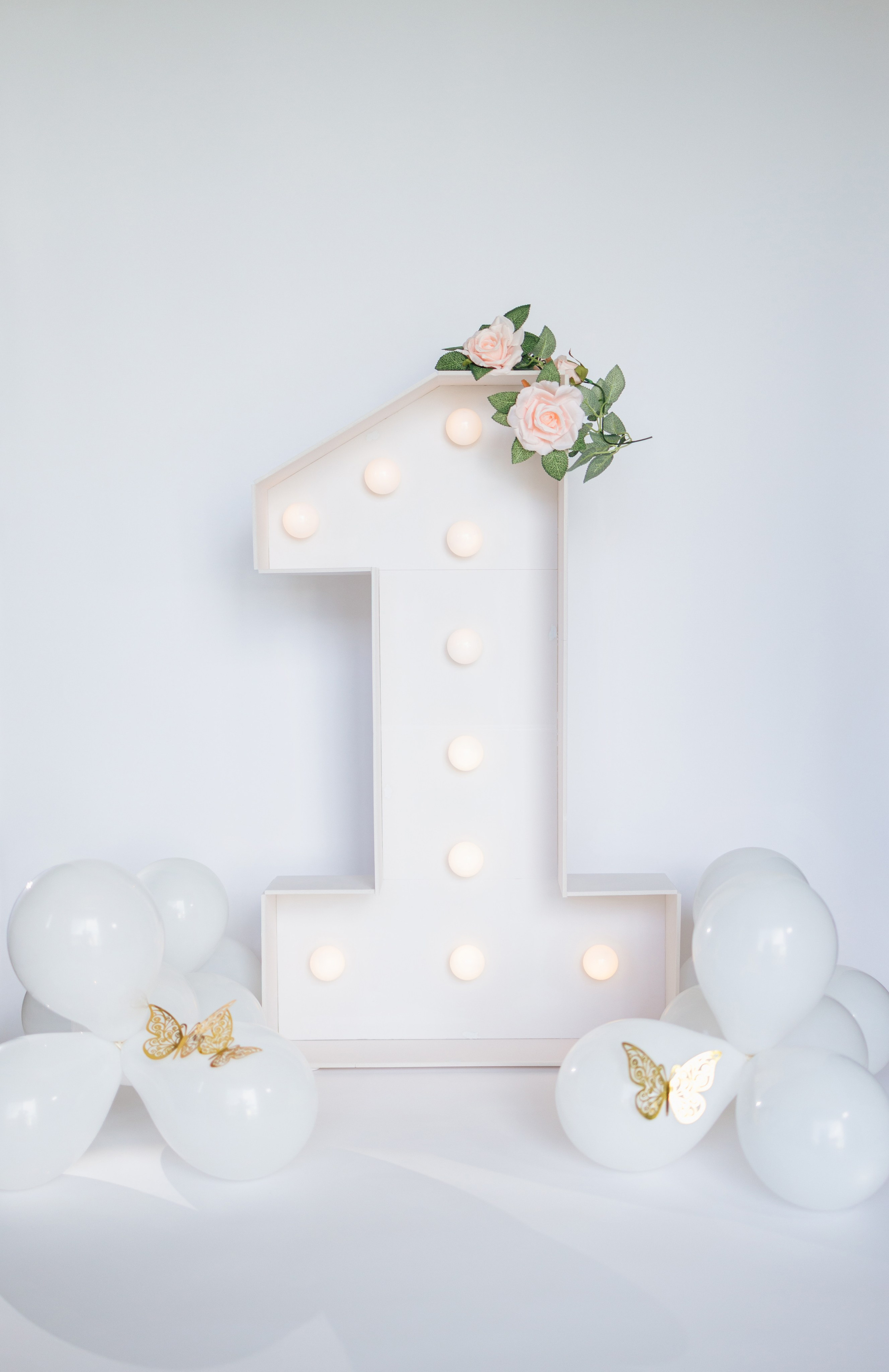 Portrait 1st Birthday. Family and Event photographer in Bay Area Elena Tiuriumina