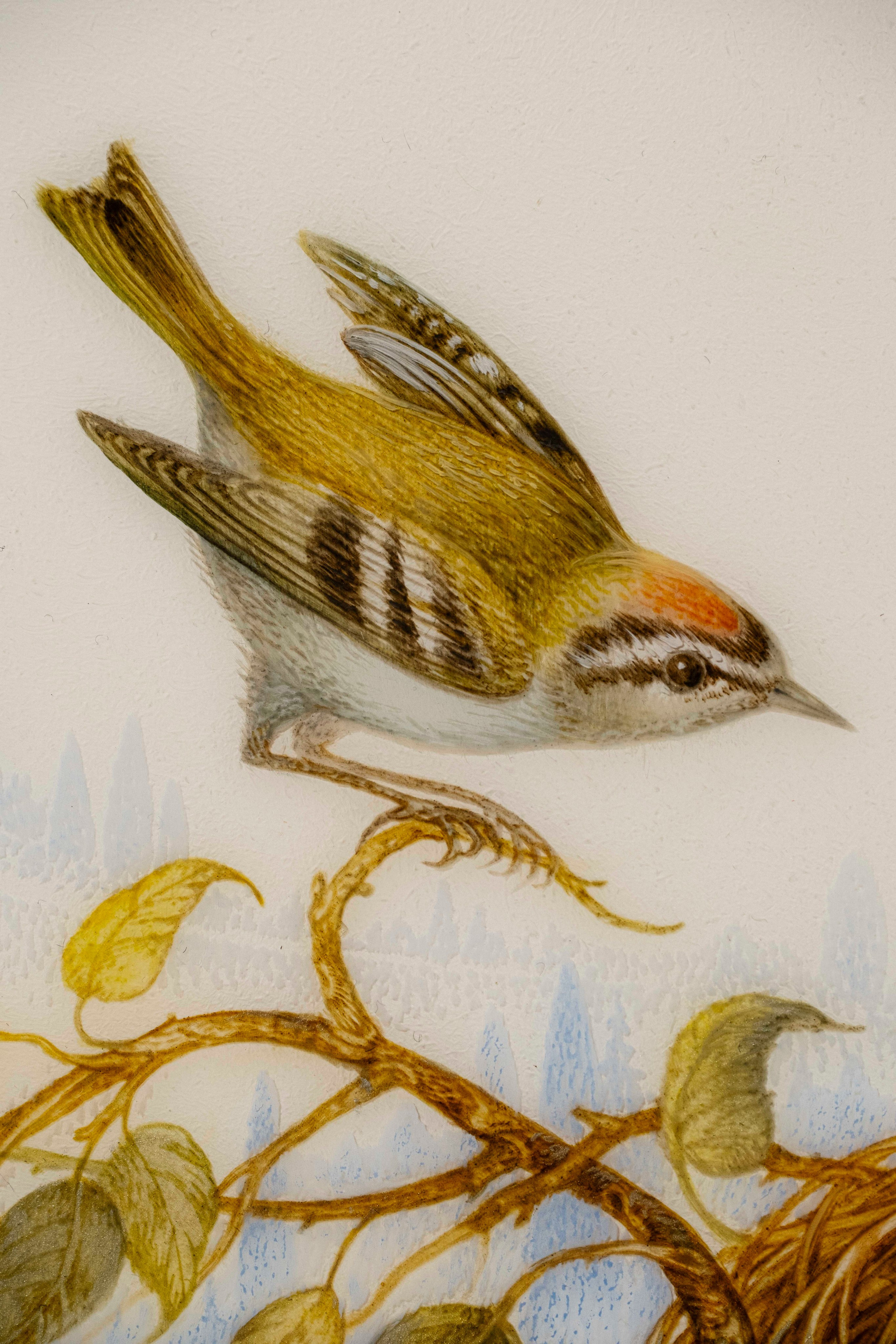 Still Life with a Nest. Marina Rogatova