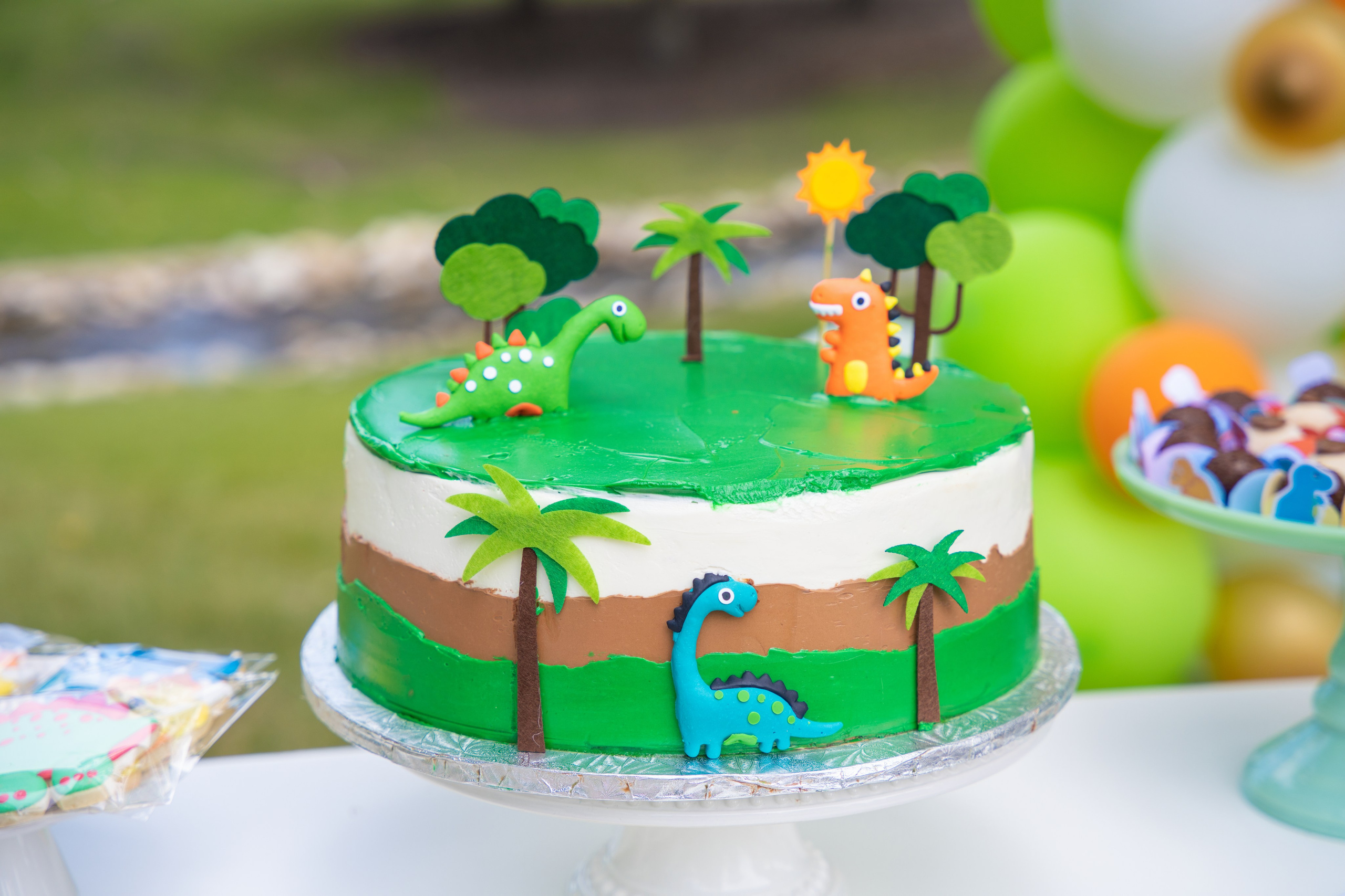 Joshua’s Party. Carlos Lima Photography — Photographer in Calgary