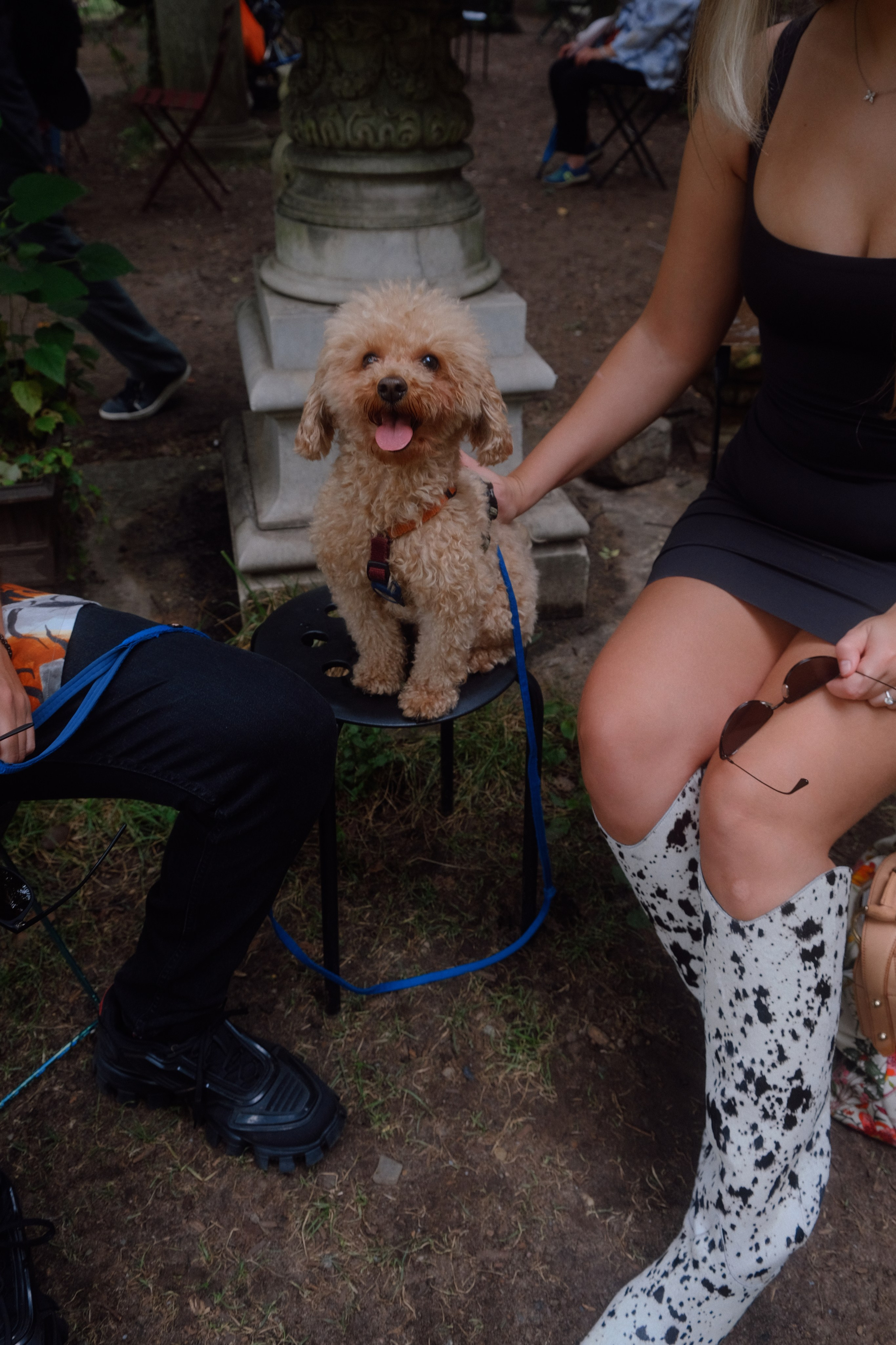 Annie, Egor & Locky. New York Photographer Sveta Zemskova, NYC Photo