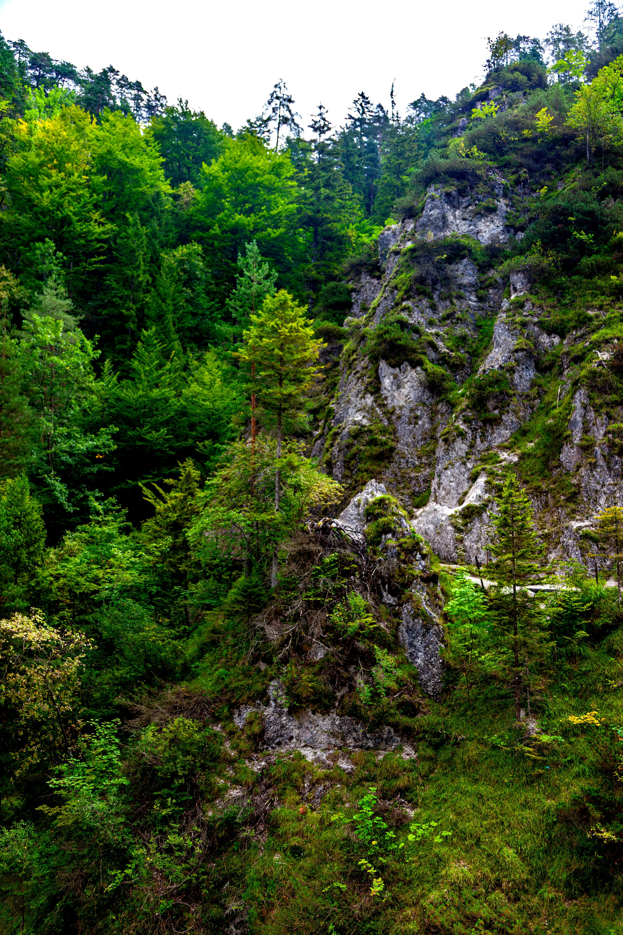197.Ötscher Base Nature Park.Austria.21.8.2025. Путешествия в формате 360......