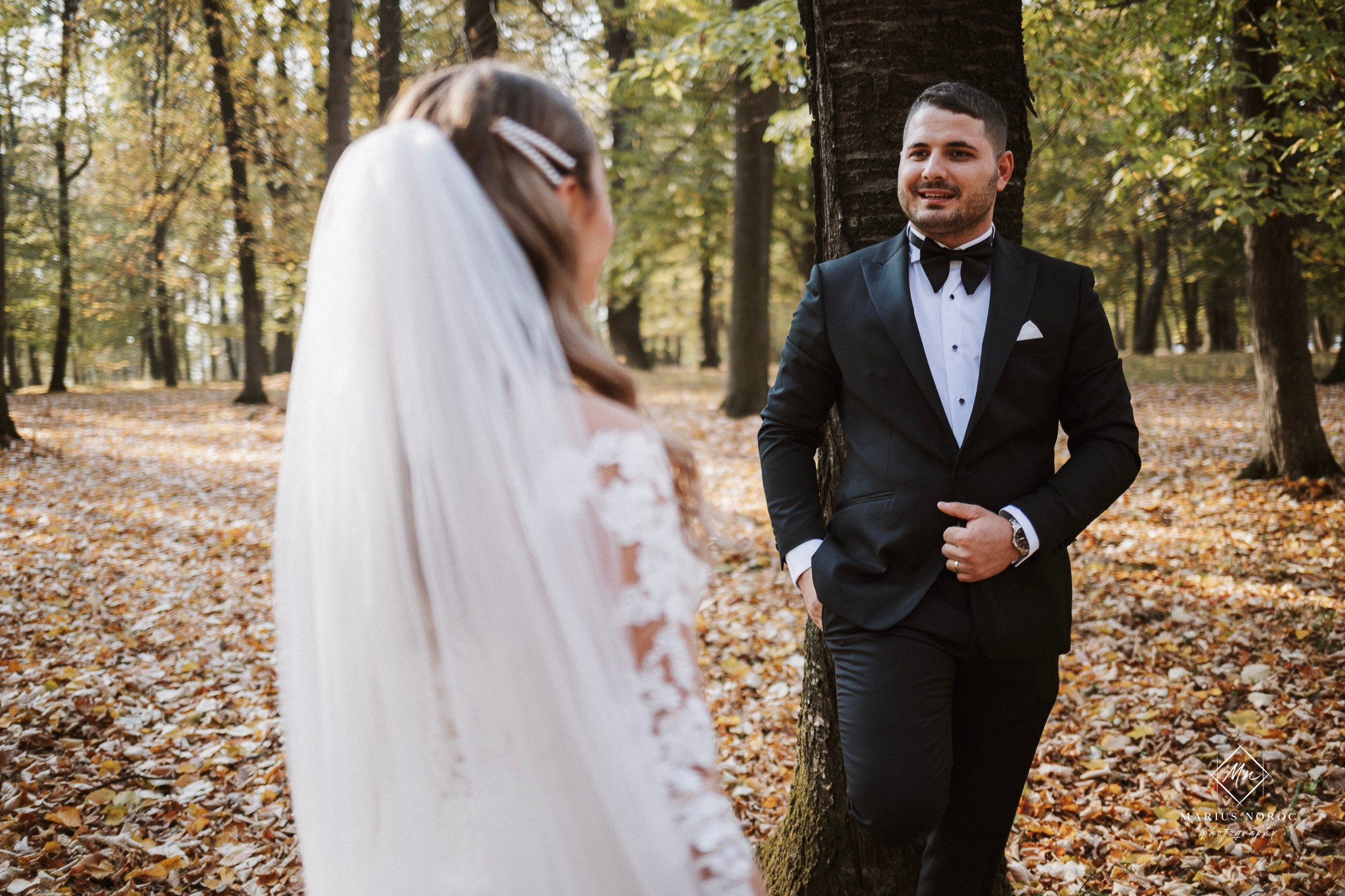 Alexandra & Laurentiu | Padurea Bucium Iasi