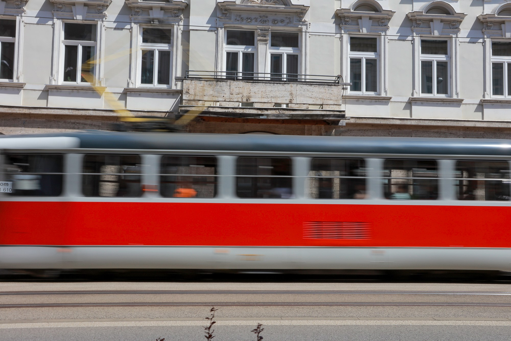 Environment. Reportage photographer Bratislava | Репортажний фотограф Братислава