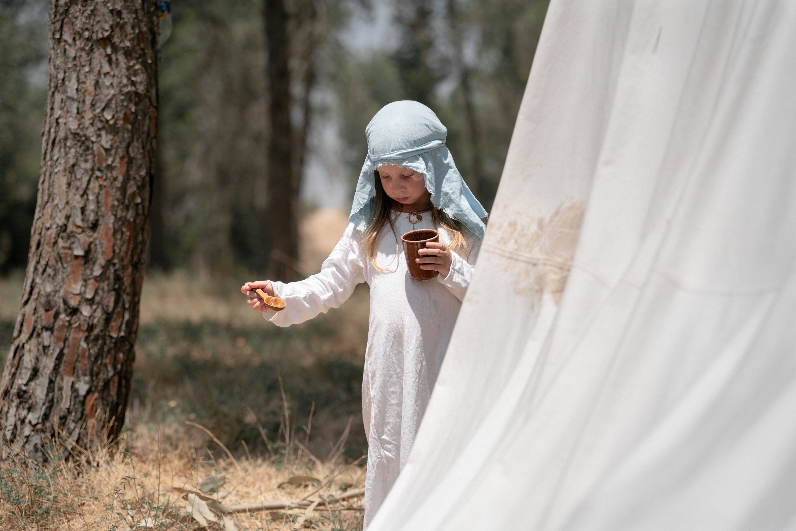 Кланы Скандинавии — клуб реконструкции «Нортман». КРиС «Нортман»