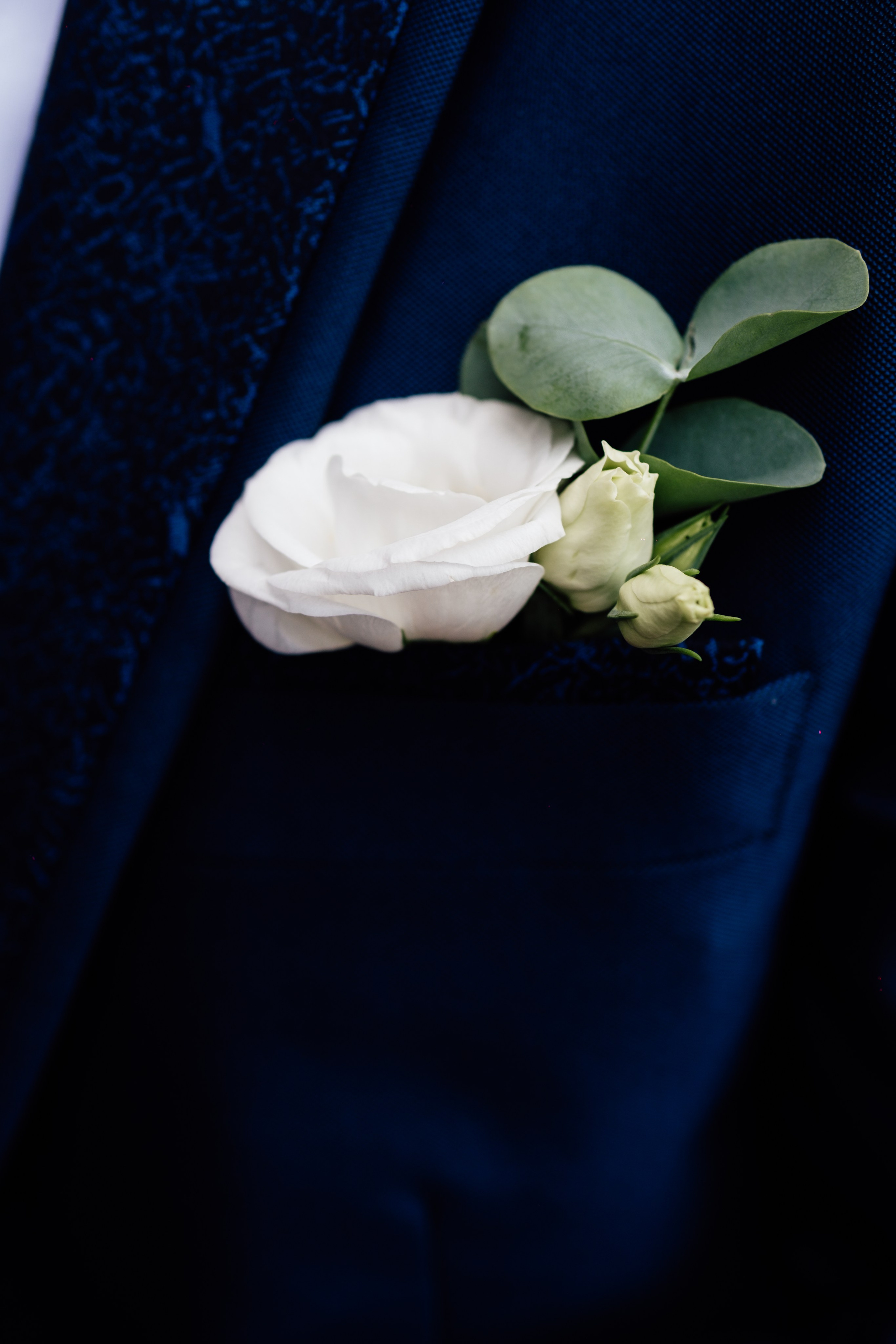 A&V. Grosu Photography