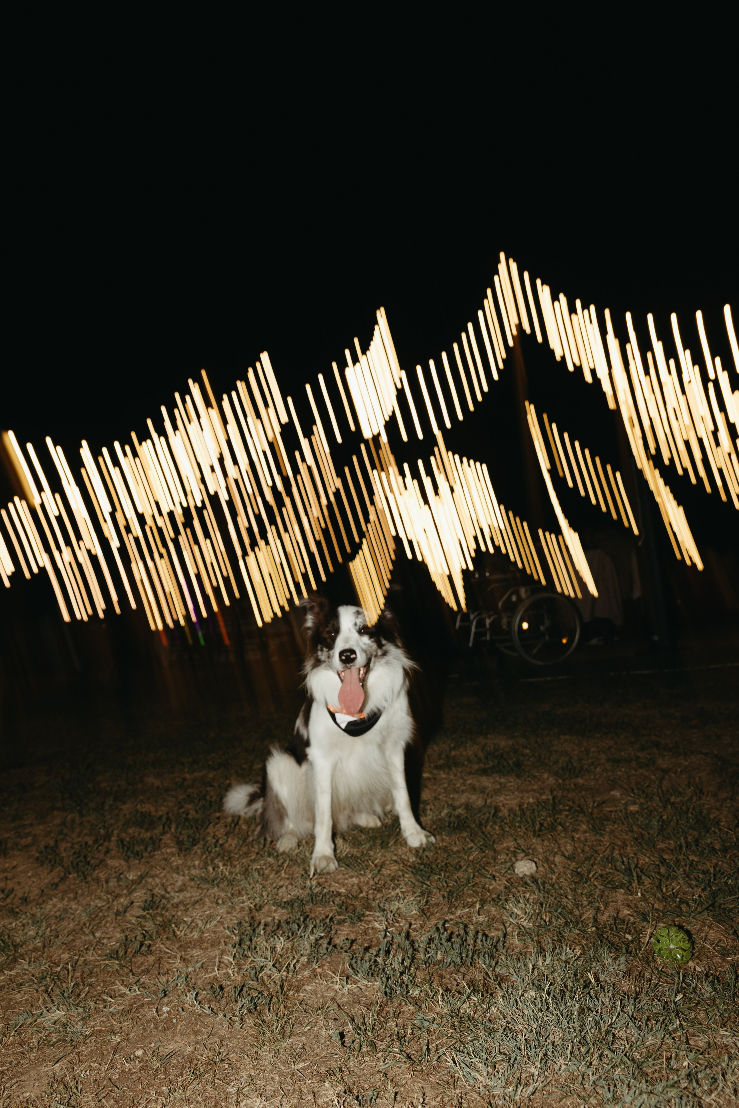 Wedding at Province Timisoara | Cristina & Robert. Wedding photographer and videographer based in Timisoara, Romania